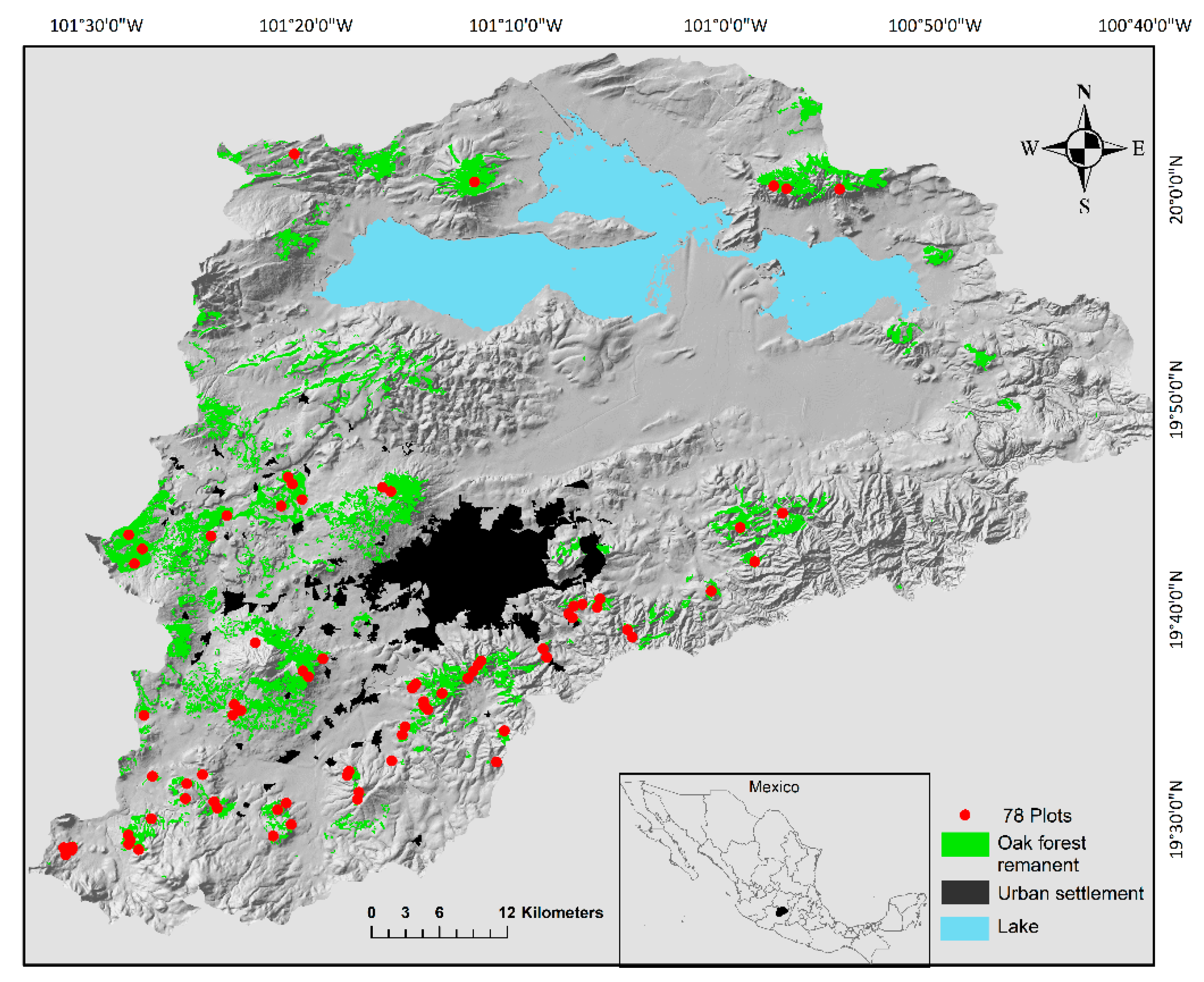 Forests 13 01085 g001 Forests 13 01085 g001