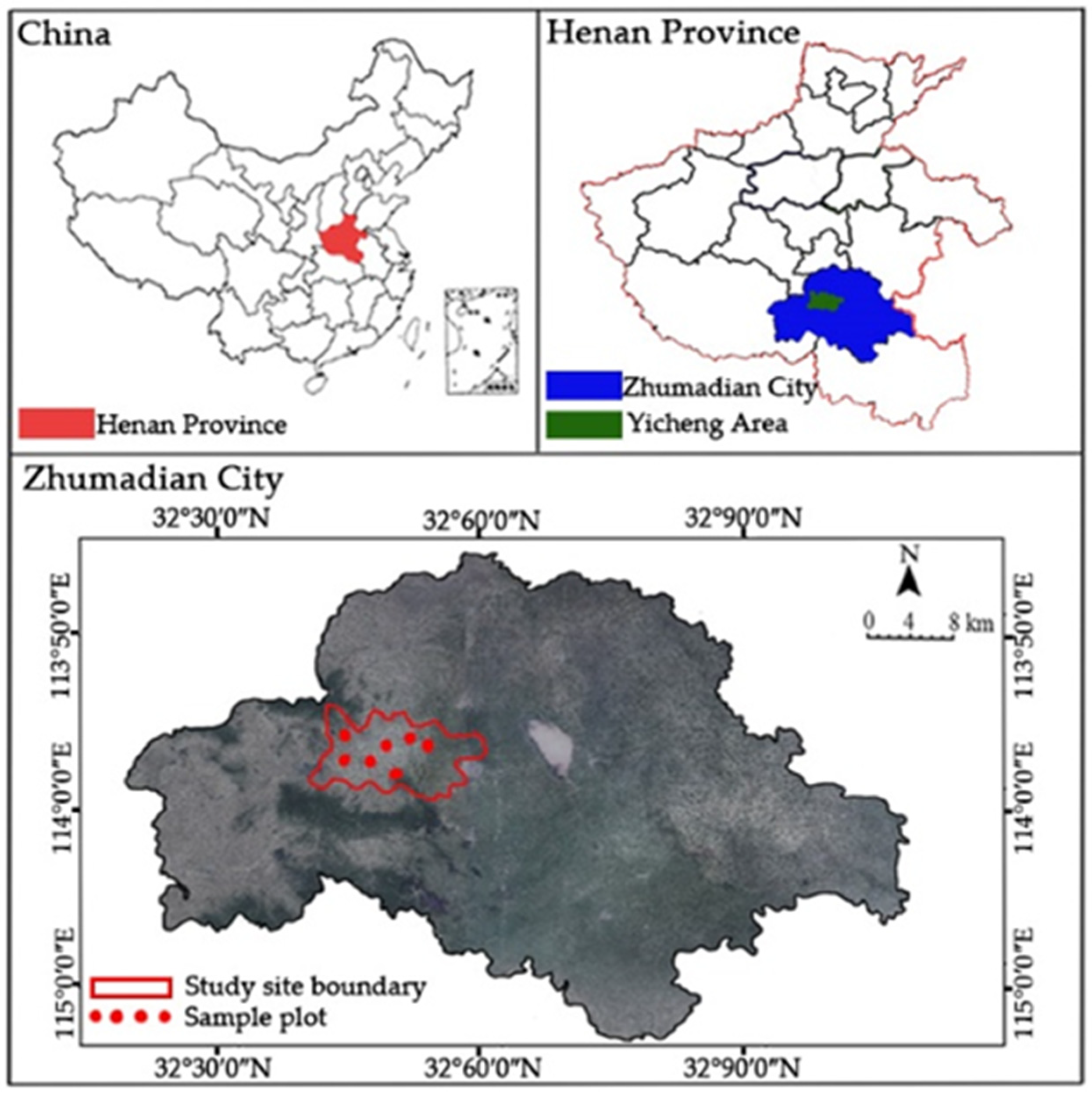 Forests 13 01086 g001