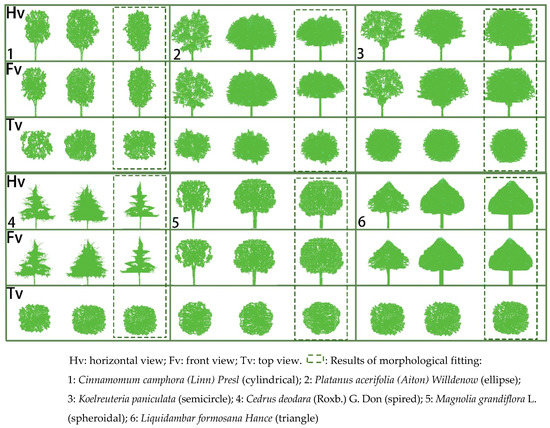 Research on Thermal Comfort of Underside of Street Tree Based on LiDAR ...