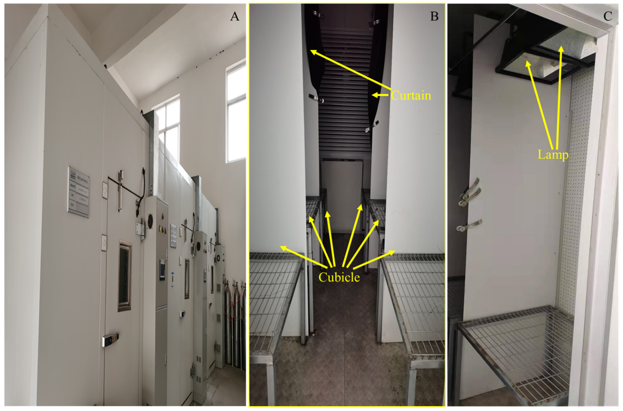 Forests 13 01099 g001