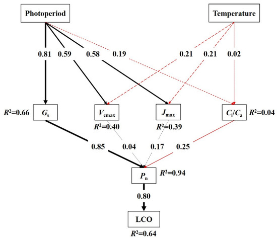 Forests | Free Full-Text | Stomatal Limitation Is Able to Modulate Leaf Coloration Onset of Temperate Deciduous Tree | HTML... 