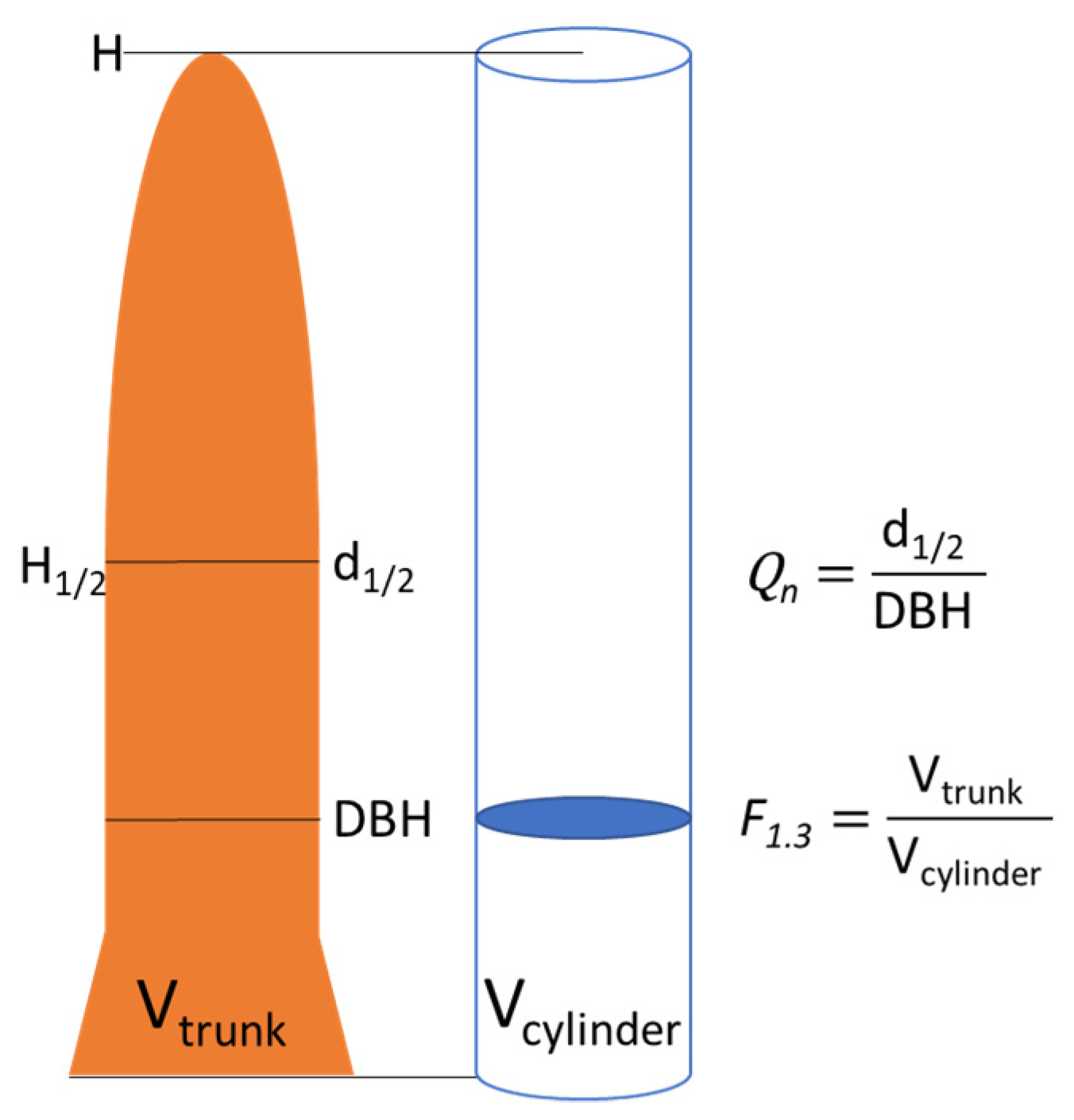 Forests 13 01111 g001