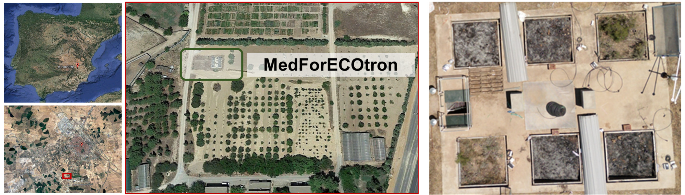 Forests 13 01118 g001 550