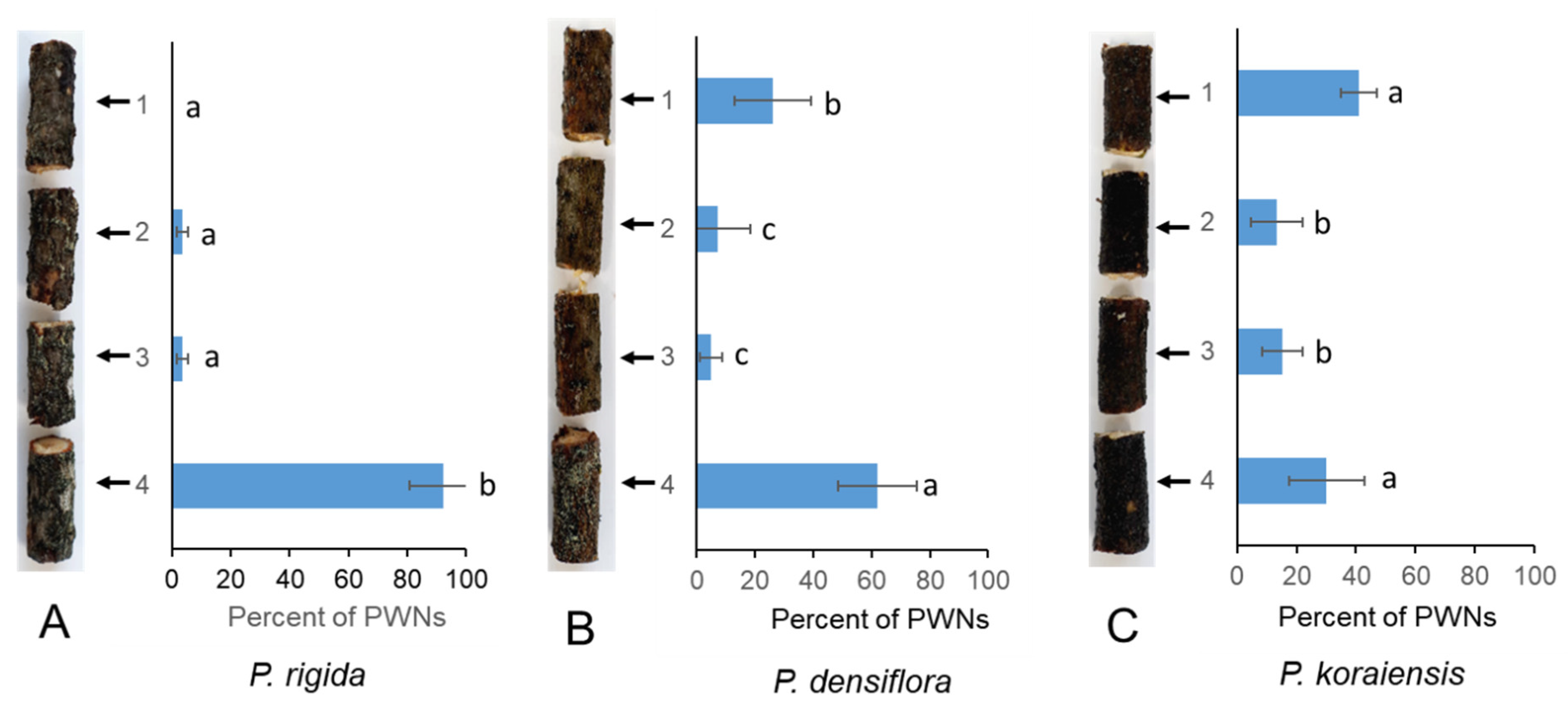 Forests 13 01131 g001 Forests 13 01131 g001