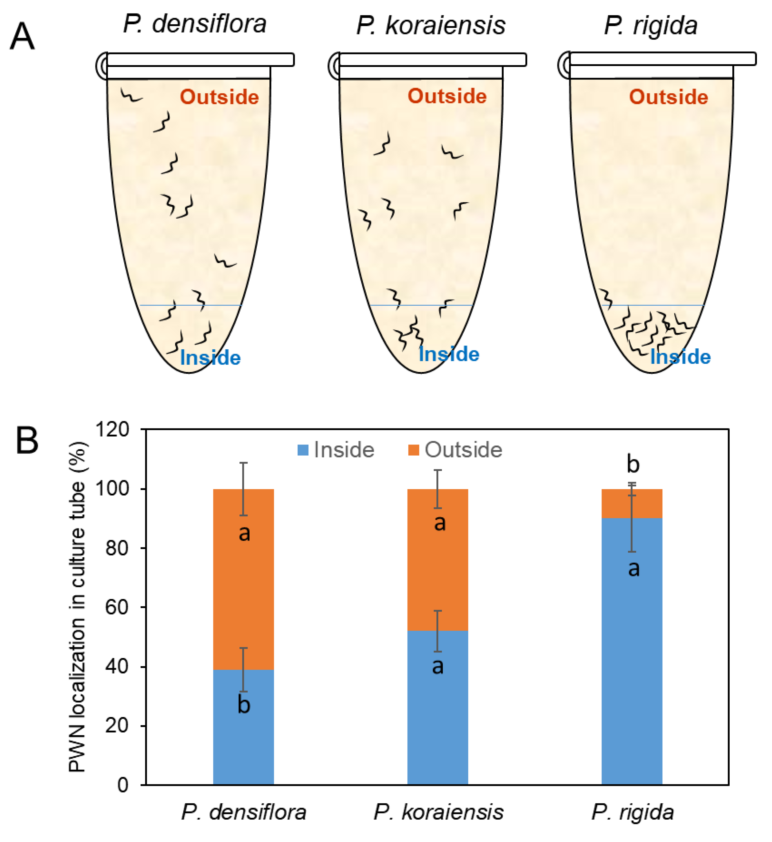 Forests 13 01131 g002 Forests 13 01131 g002