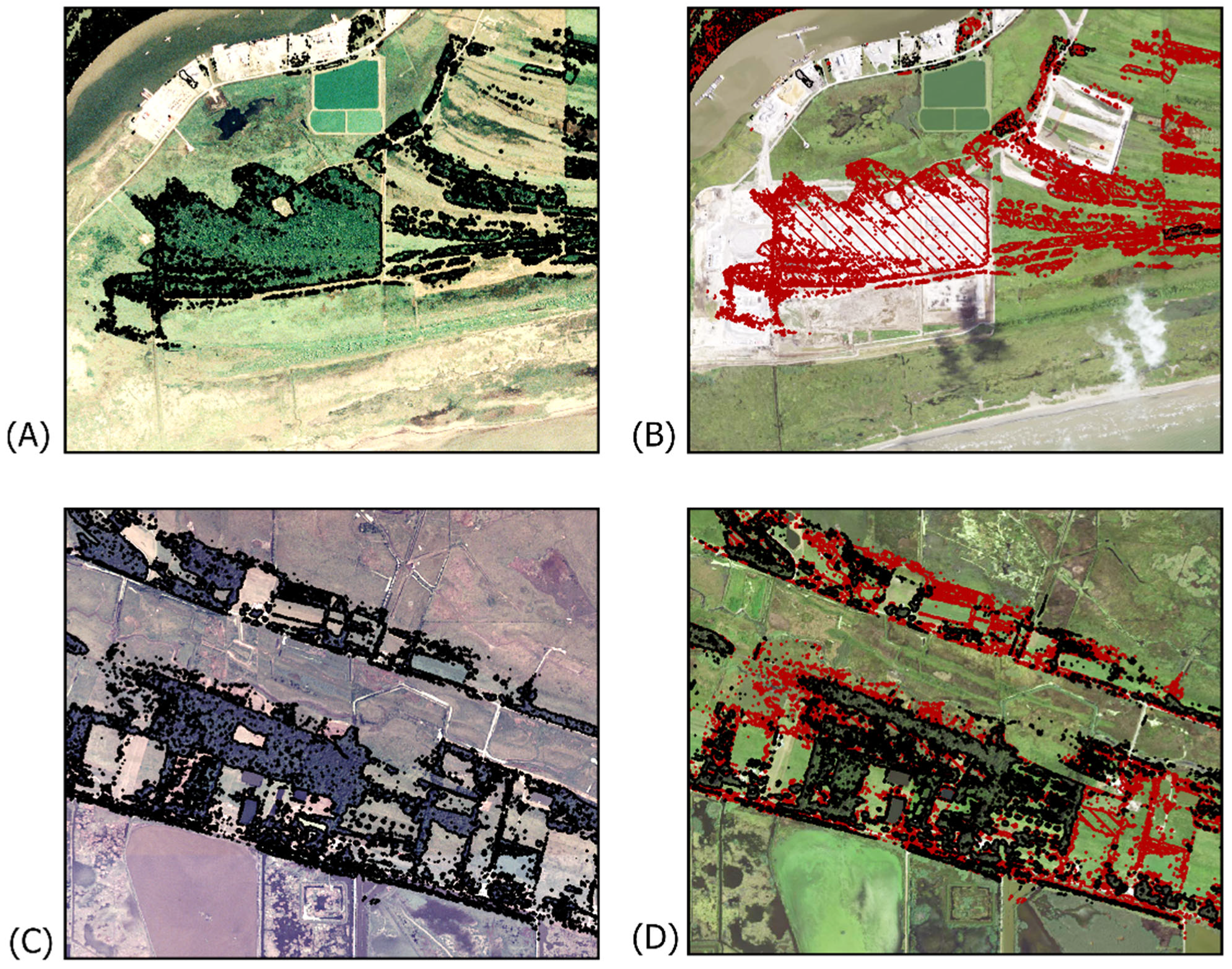 Forests 13 01132 g008 Forests 13 01132 g008