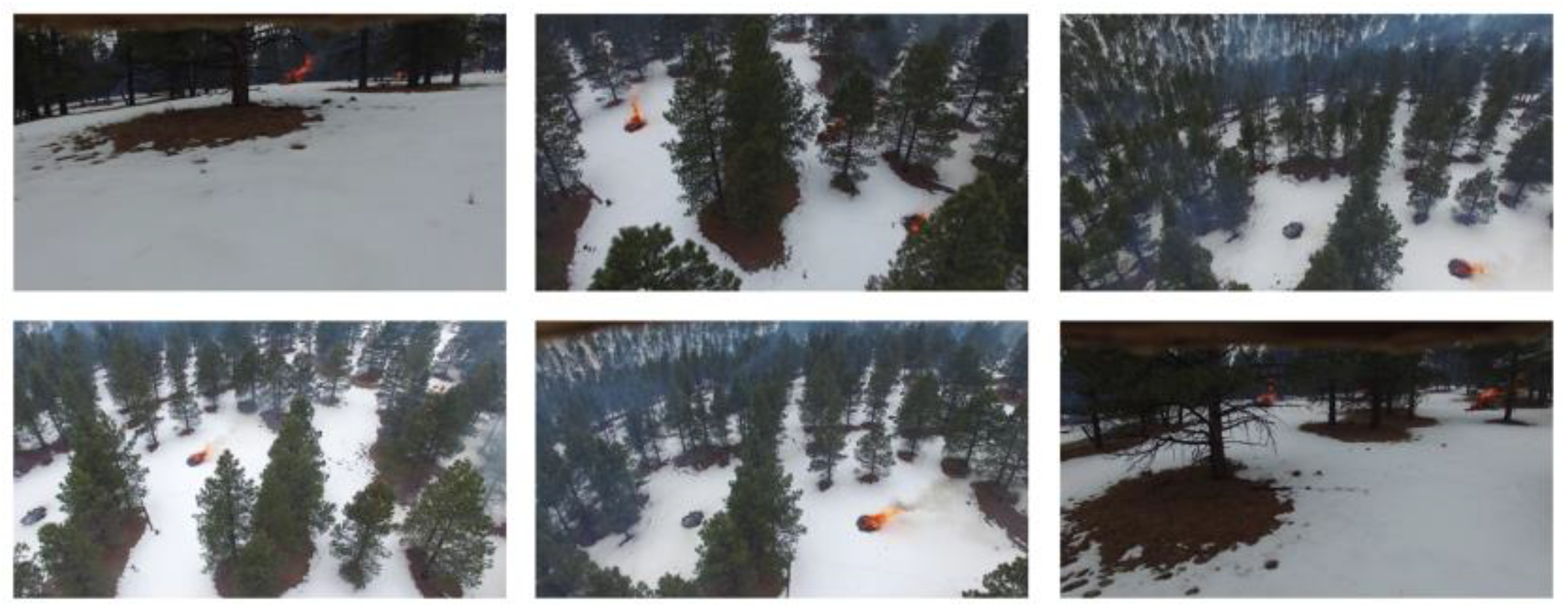 Forests 13 01133 g002 550