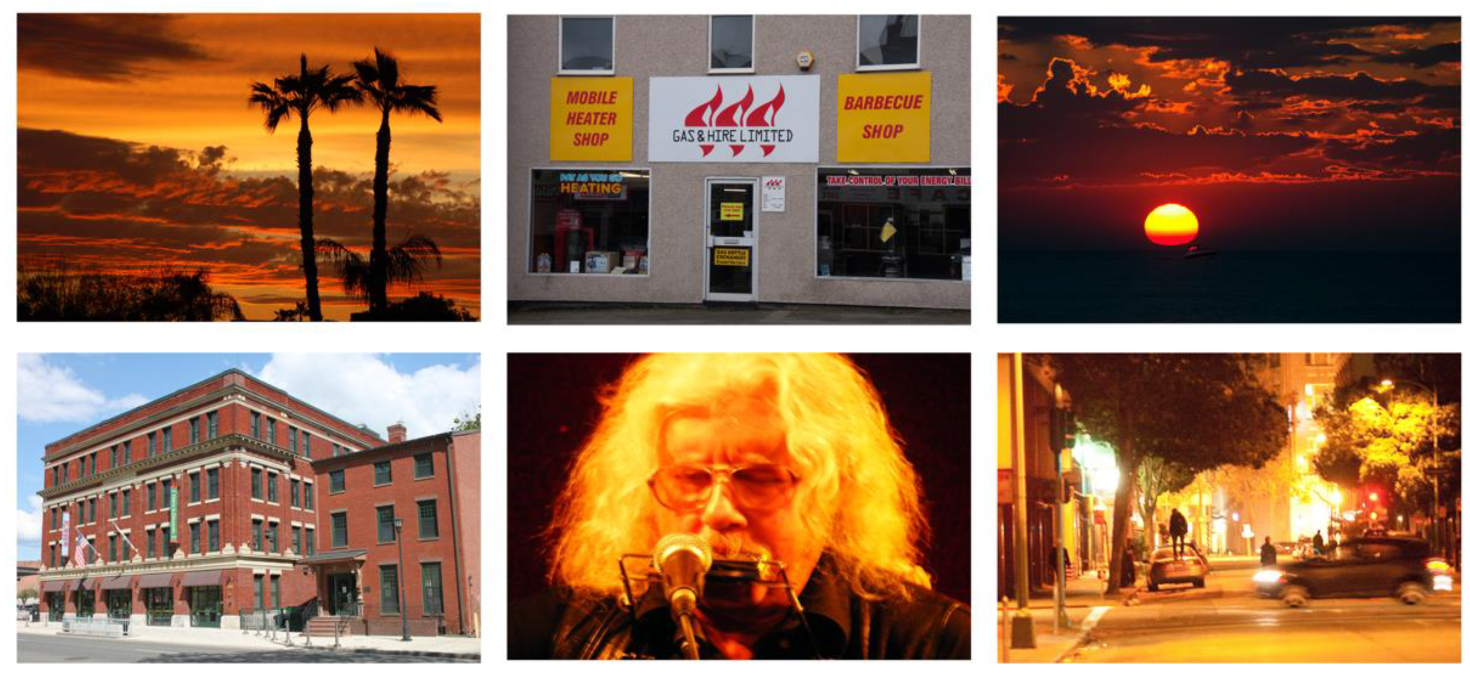 Forests 13 01133 g003 550