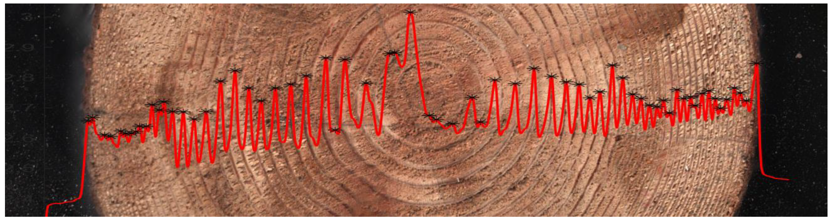 Forests 13 01139 g014