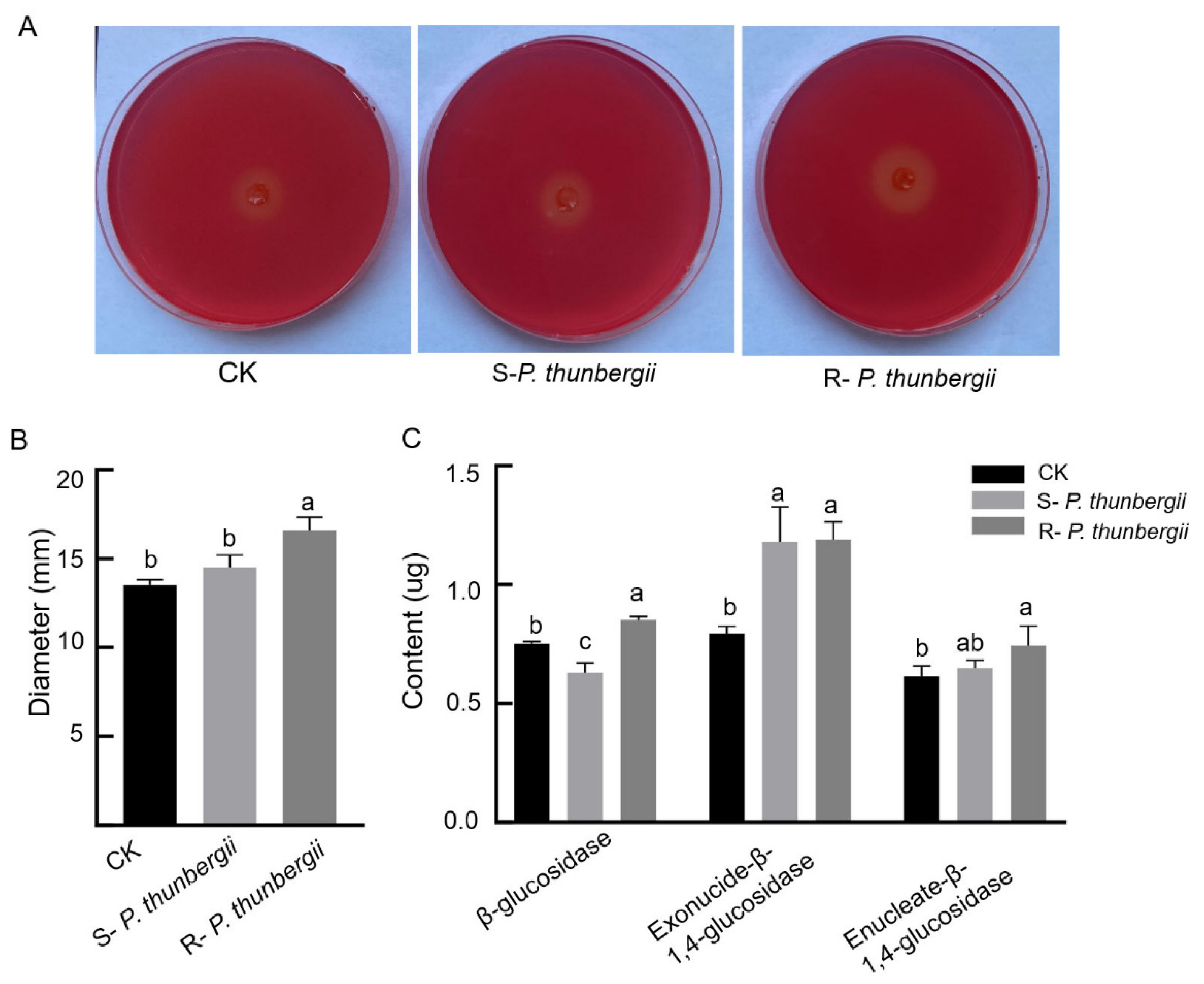 Forests 13 01140 g003