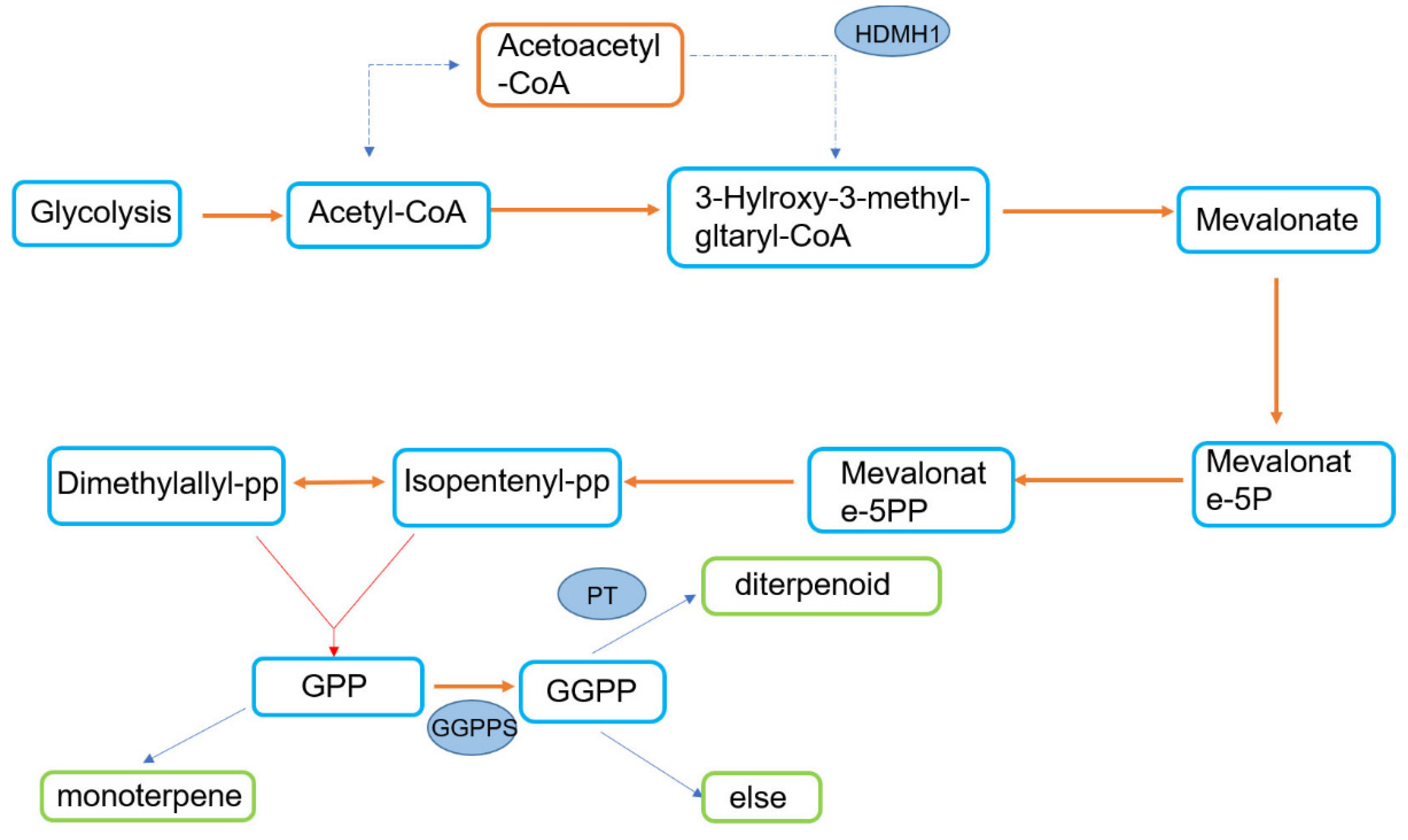 Forests 13 01140 g004