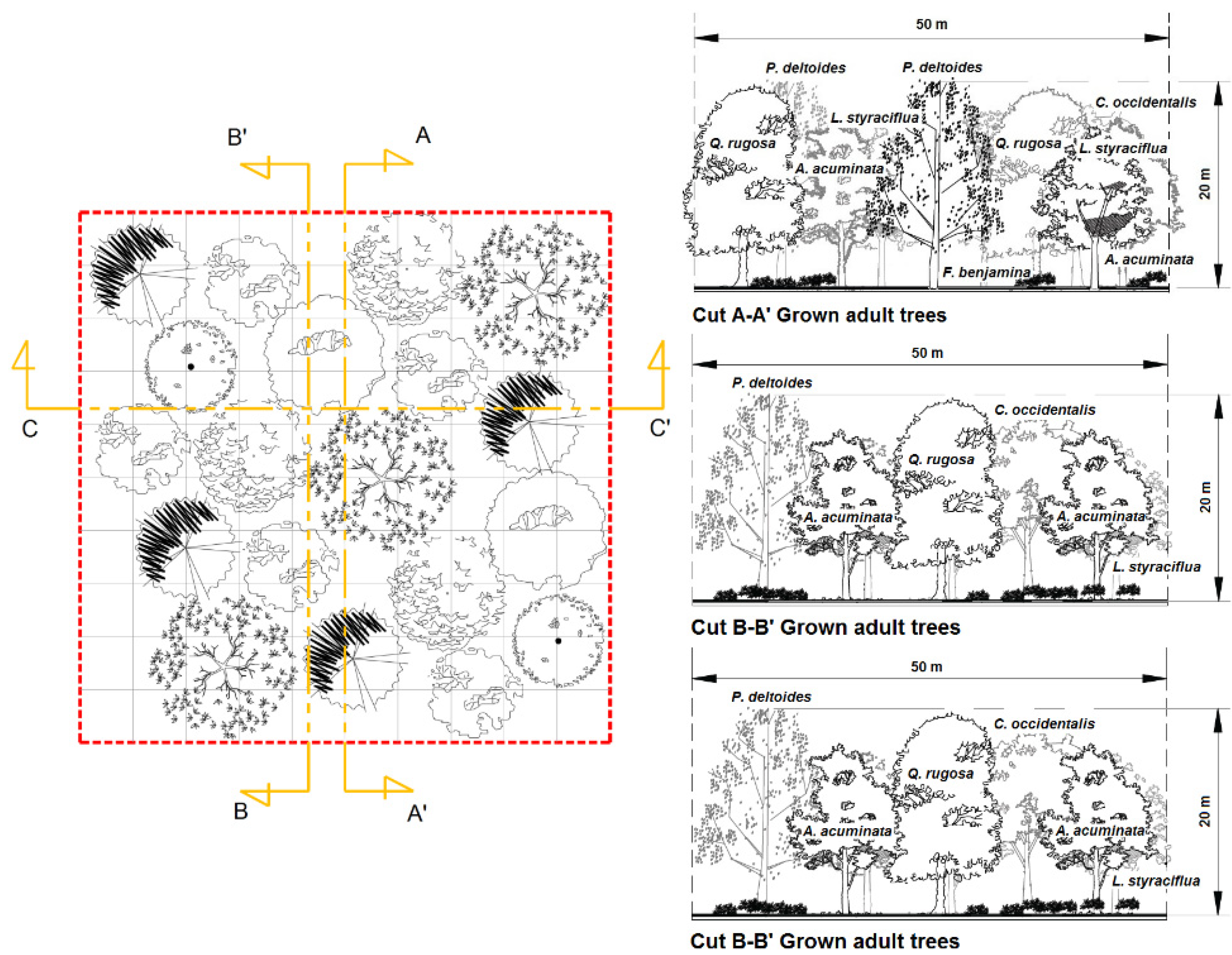 Forests 13 01143 g003 550