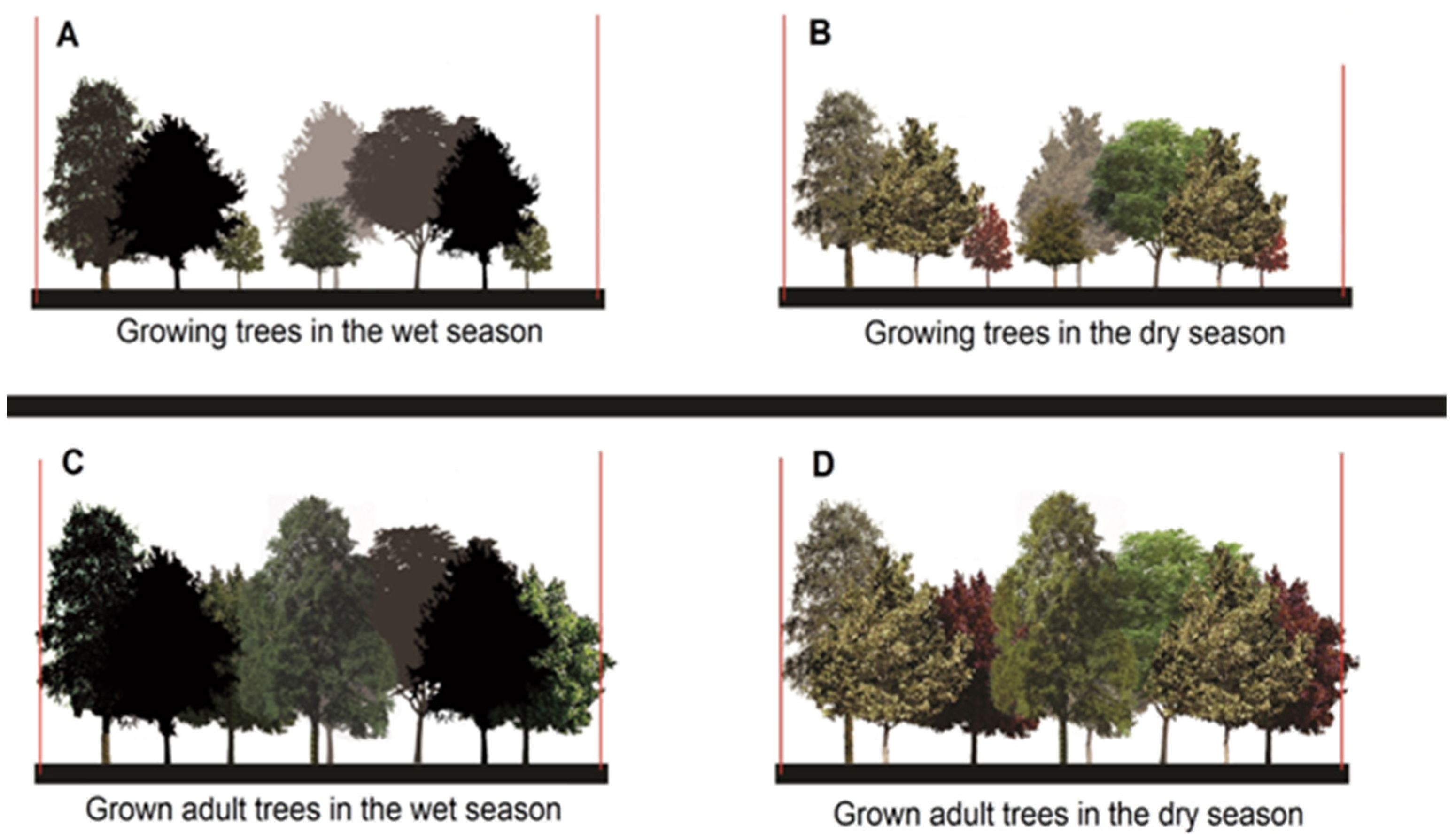 Forests 13 01143 g004 550
