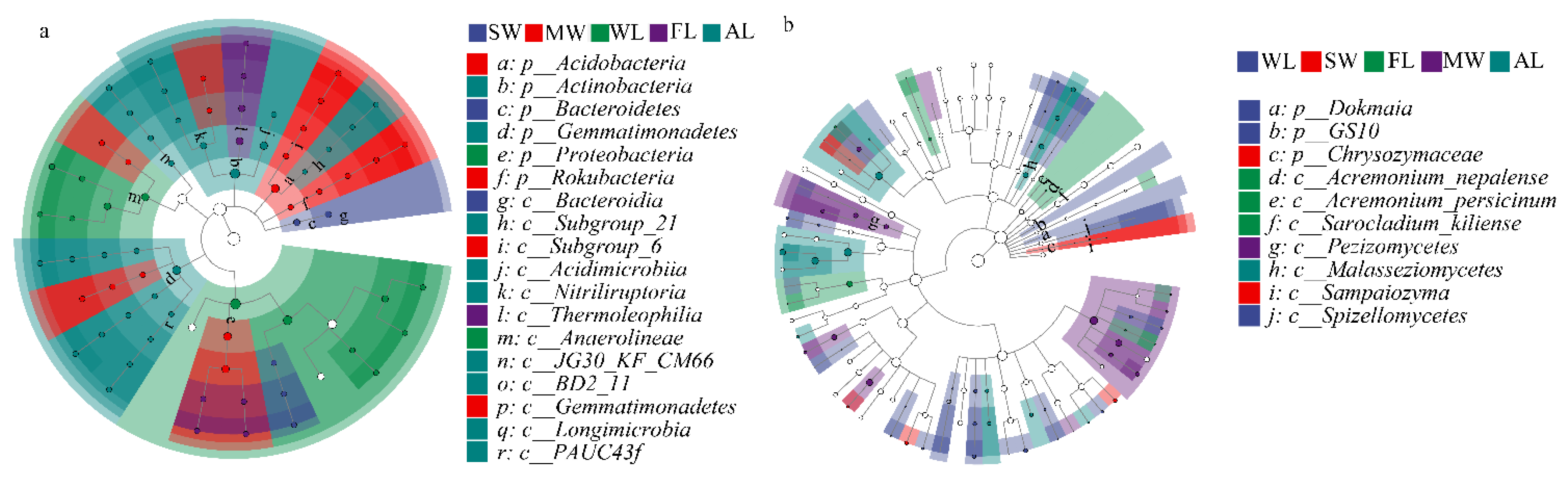 Forests 13 01148 g004