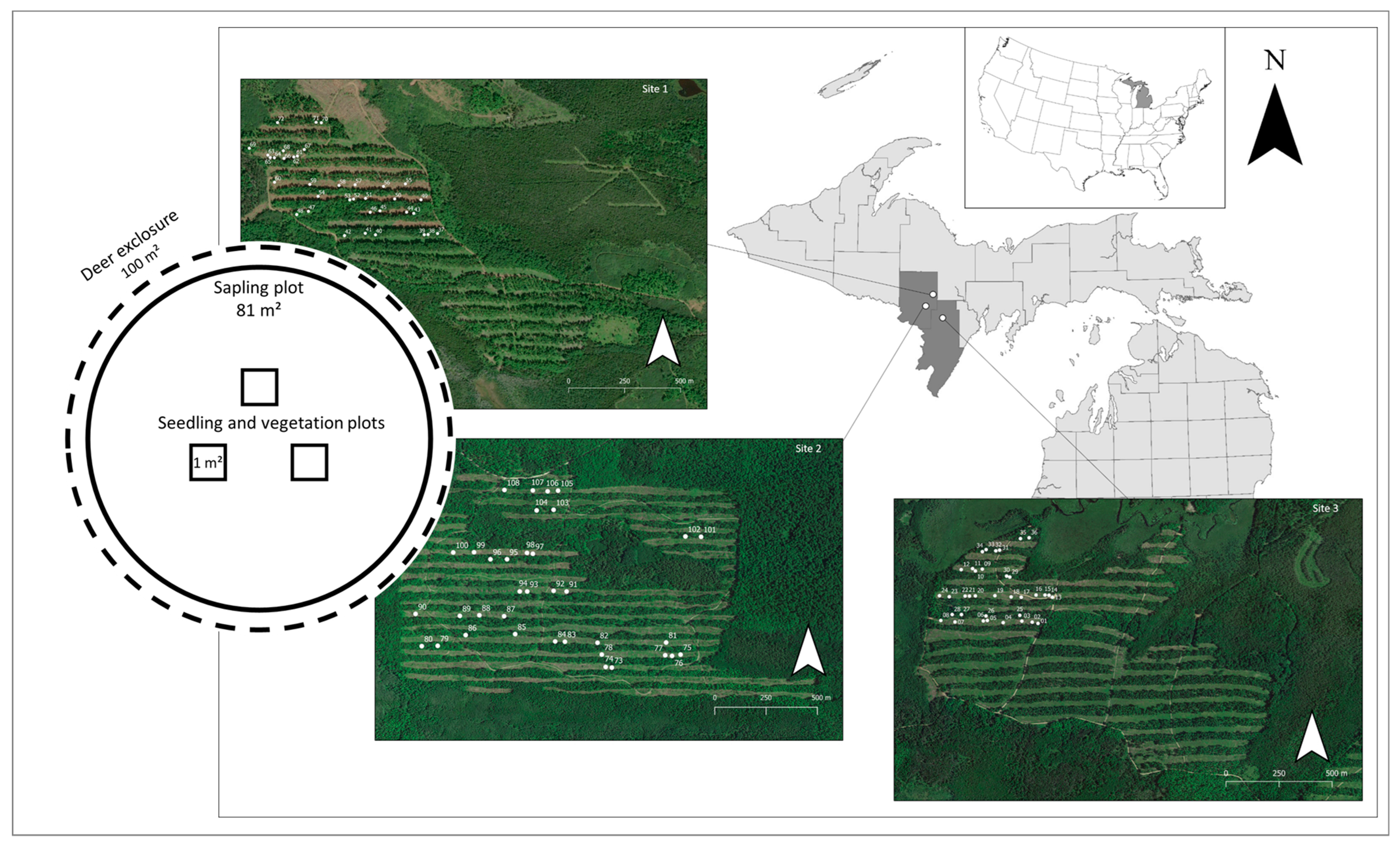 Forests 13 01149 g001 550