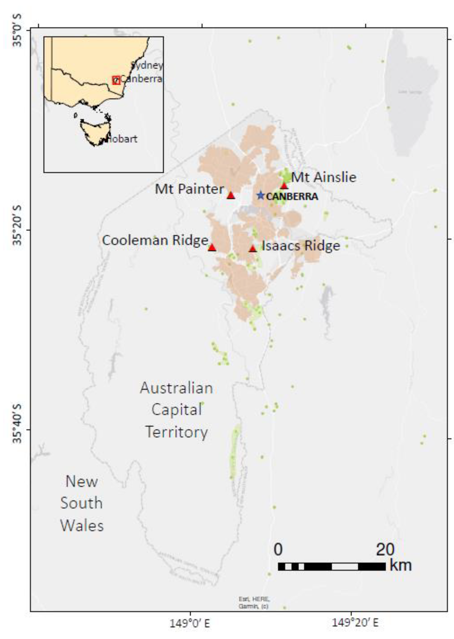 Forests 13 01152 g001 550