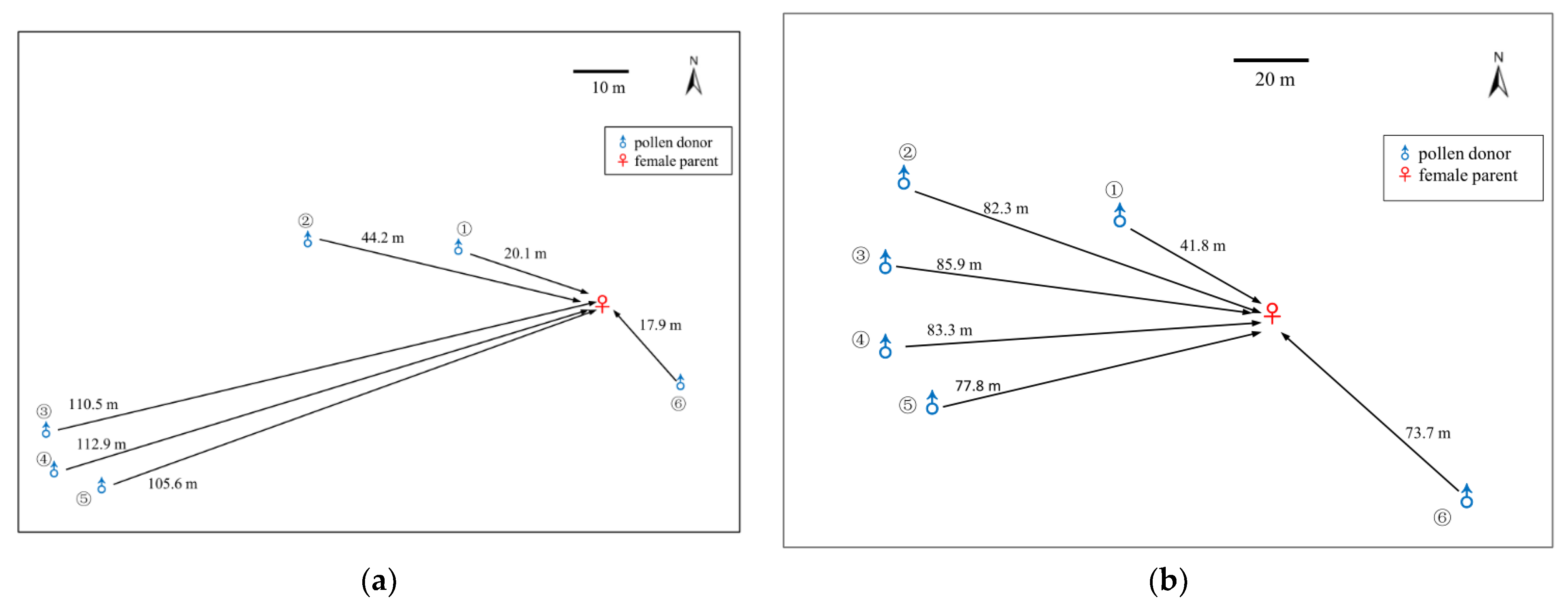 Forests 13 01152 g002 550