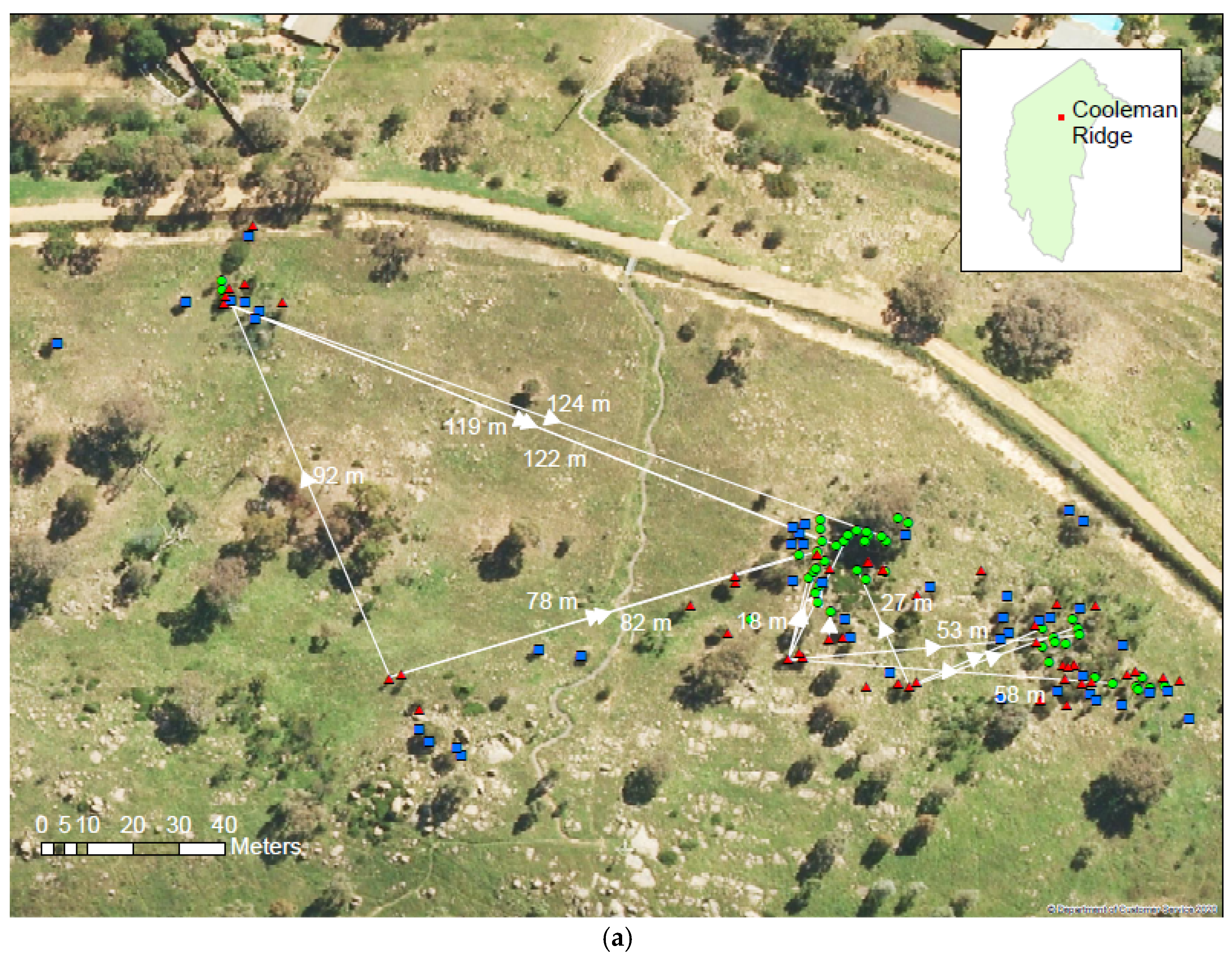 Forests 13 01152 g003a 550