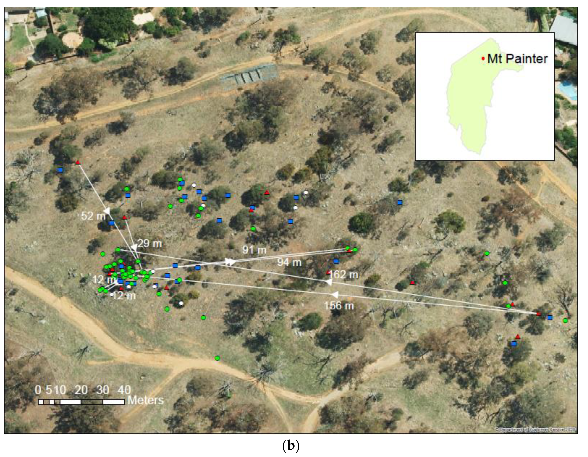 Forests 13 01152 g003b 550