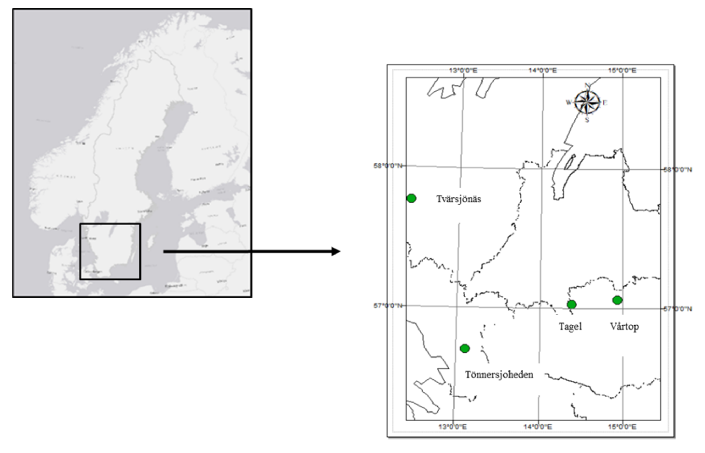 Forests 13 01156 g001