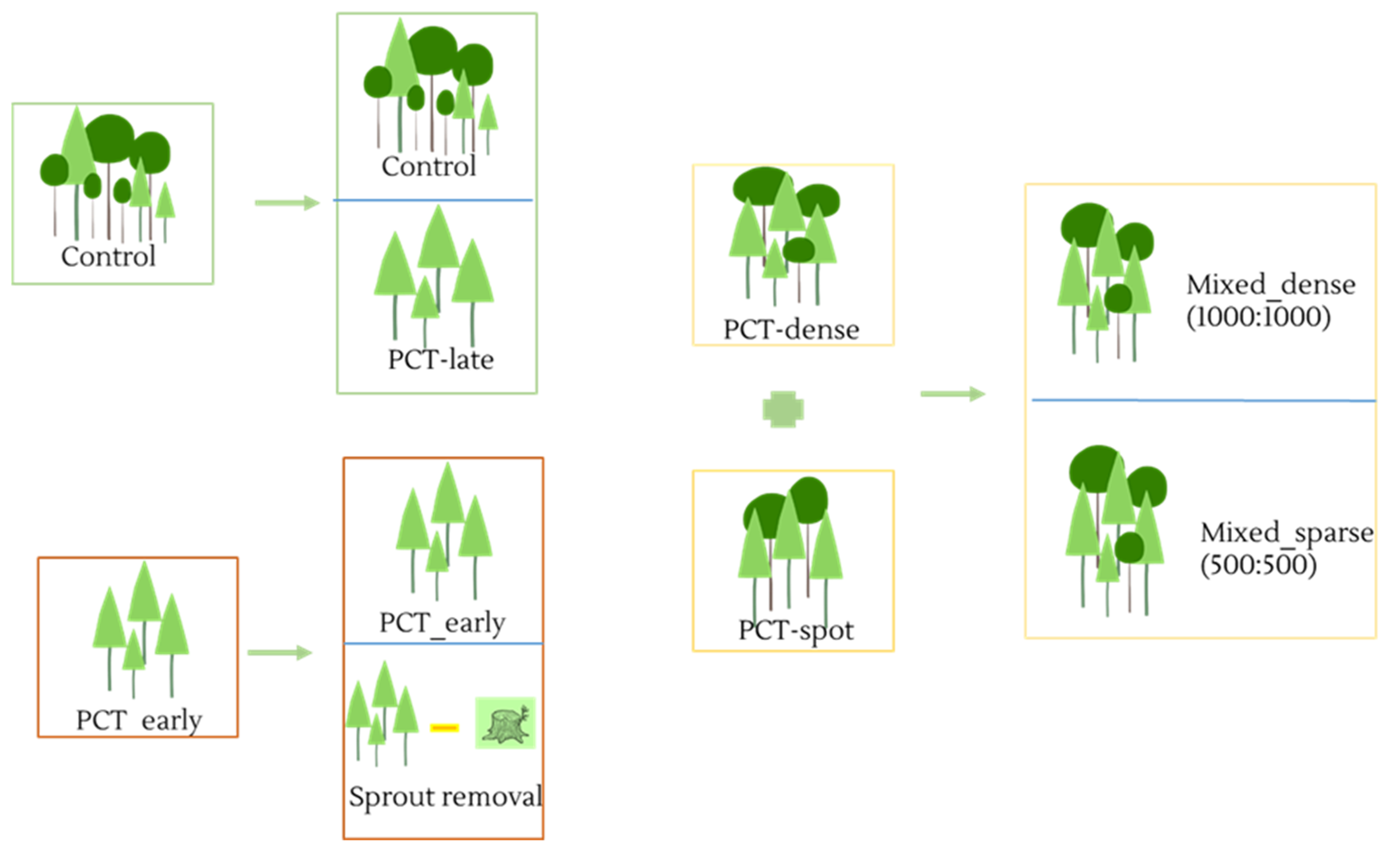 Forests 13 01156 g002