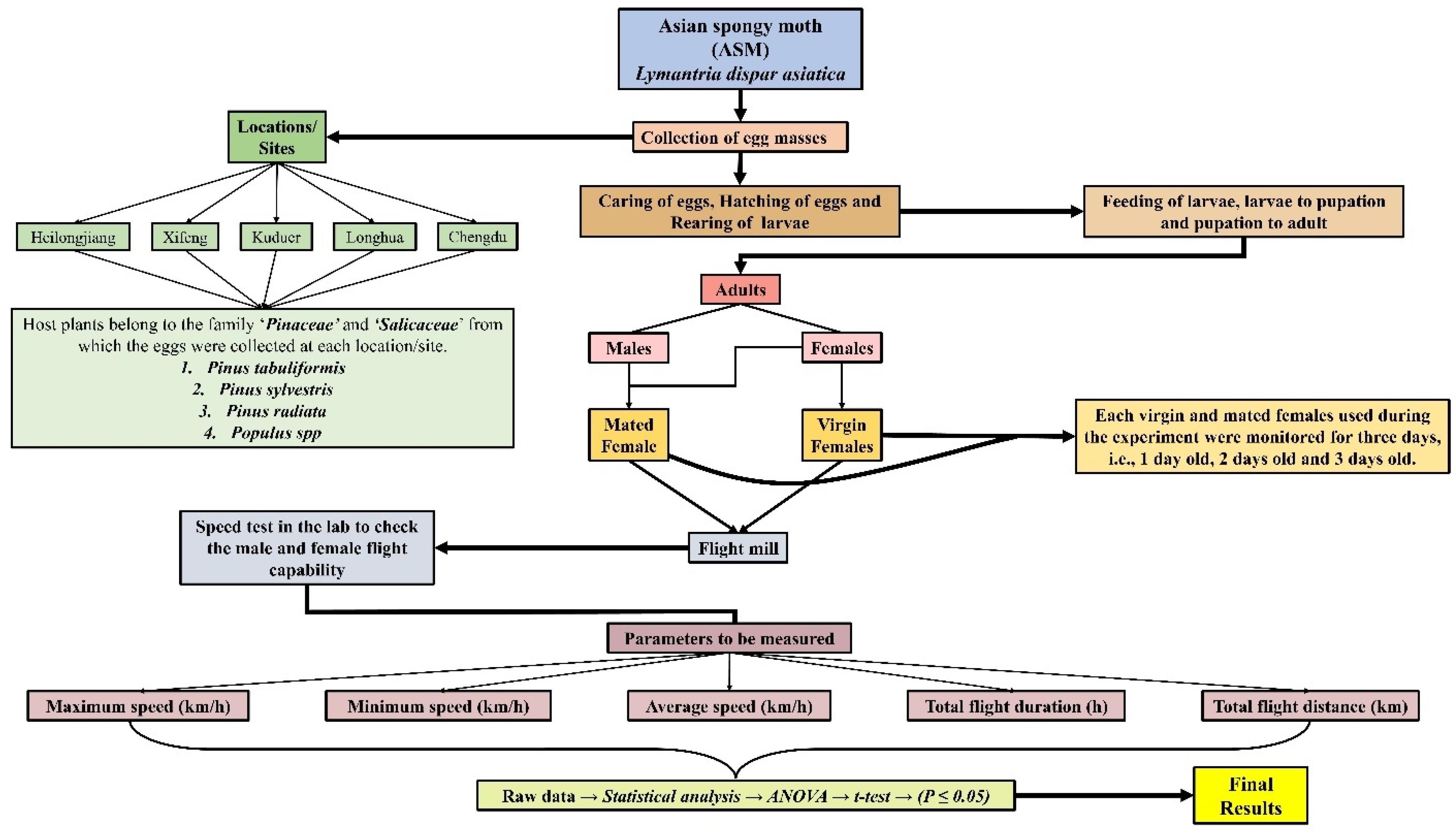 Forests 13 01158 g001