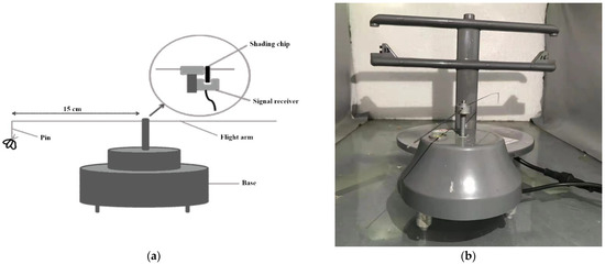 Association of the Female Flight Ability of Asian Spongy