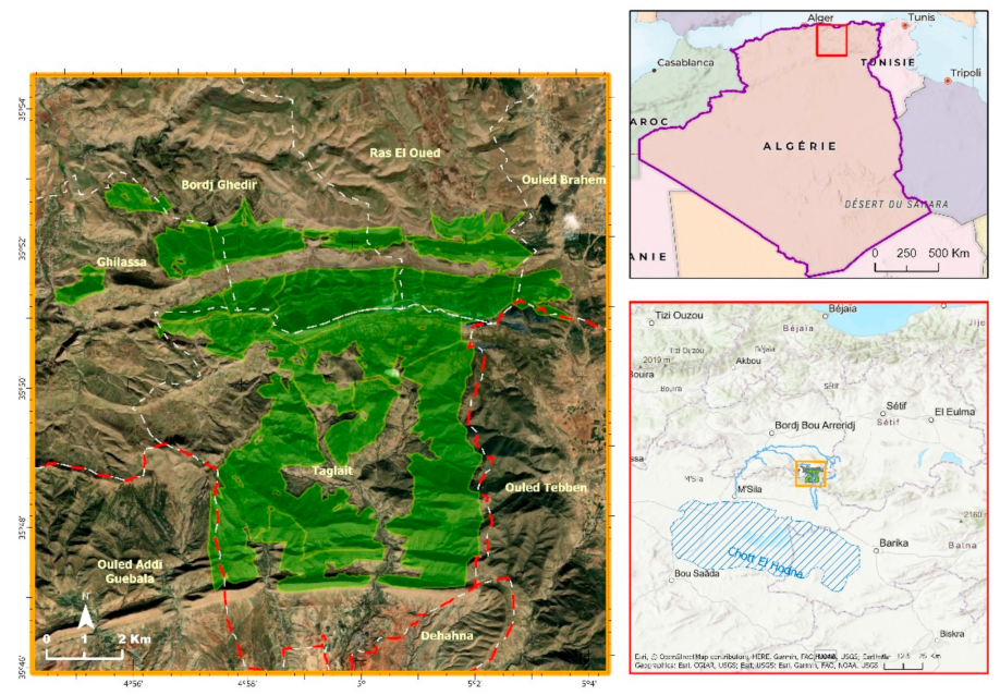 Forests 13 01159 g002 550