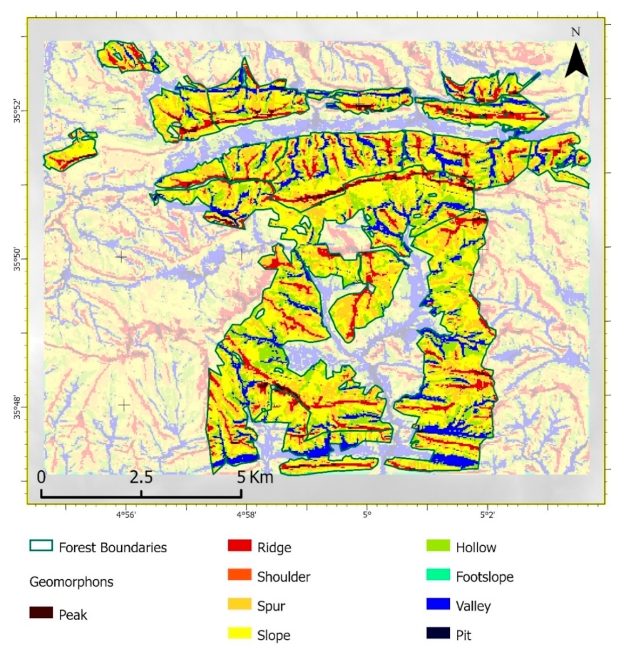 Forests 13 01159 g004 550