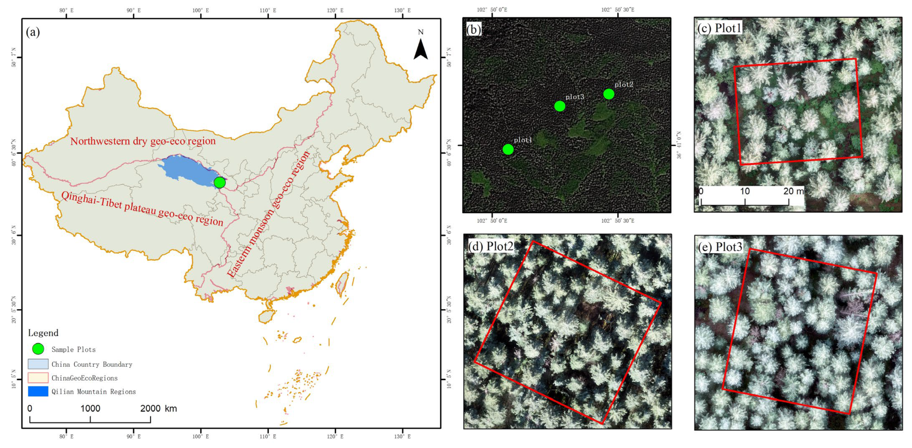 Forests 13 01163 g001 550