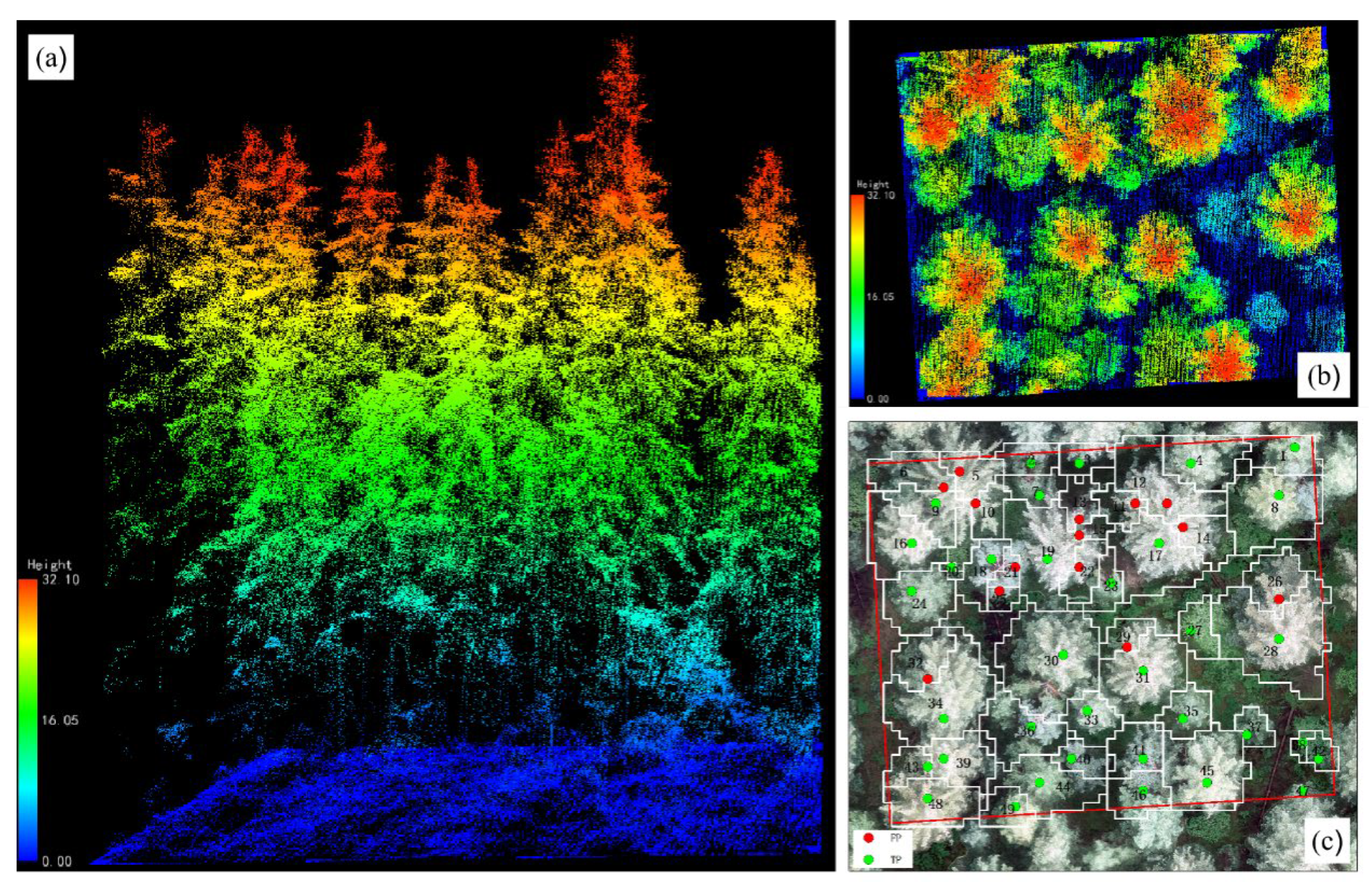 Forests 13 01163 g004 550