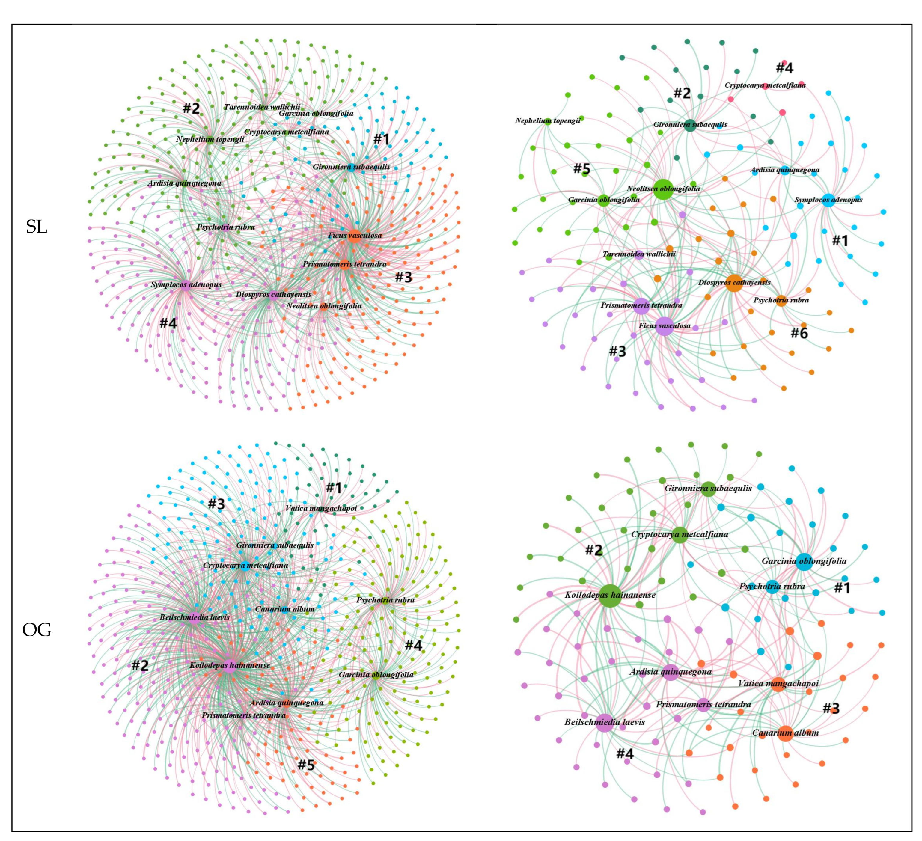 Forests 13 01167 g001b Forests 13 01167 g001b