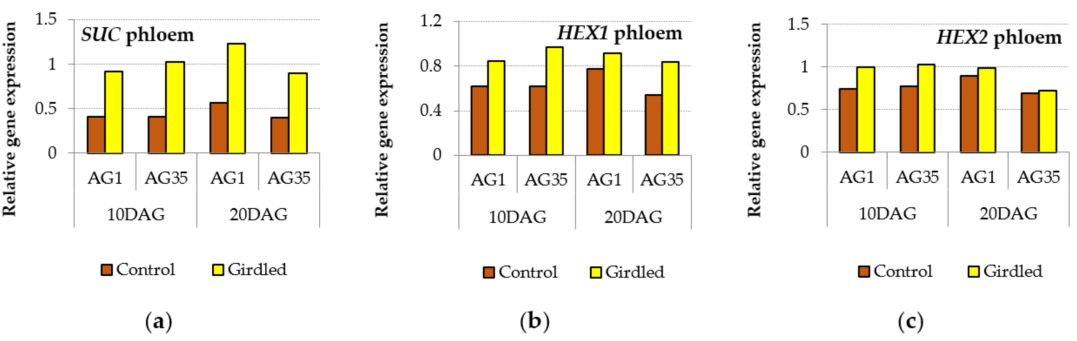 Forests 13 01171 g010 Forests 13 01171 g010