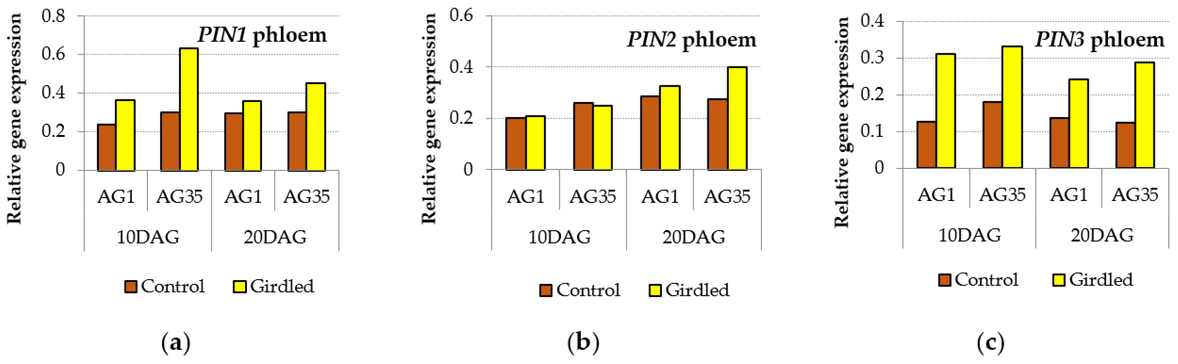 Forests 13 01171 g011 Forests 13 01171 g011