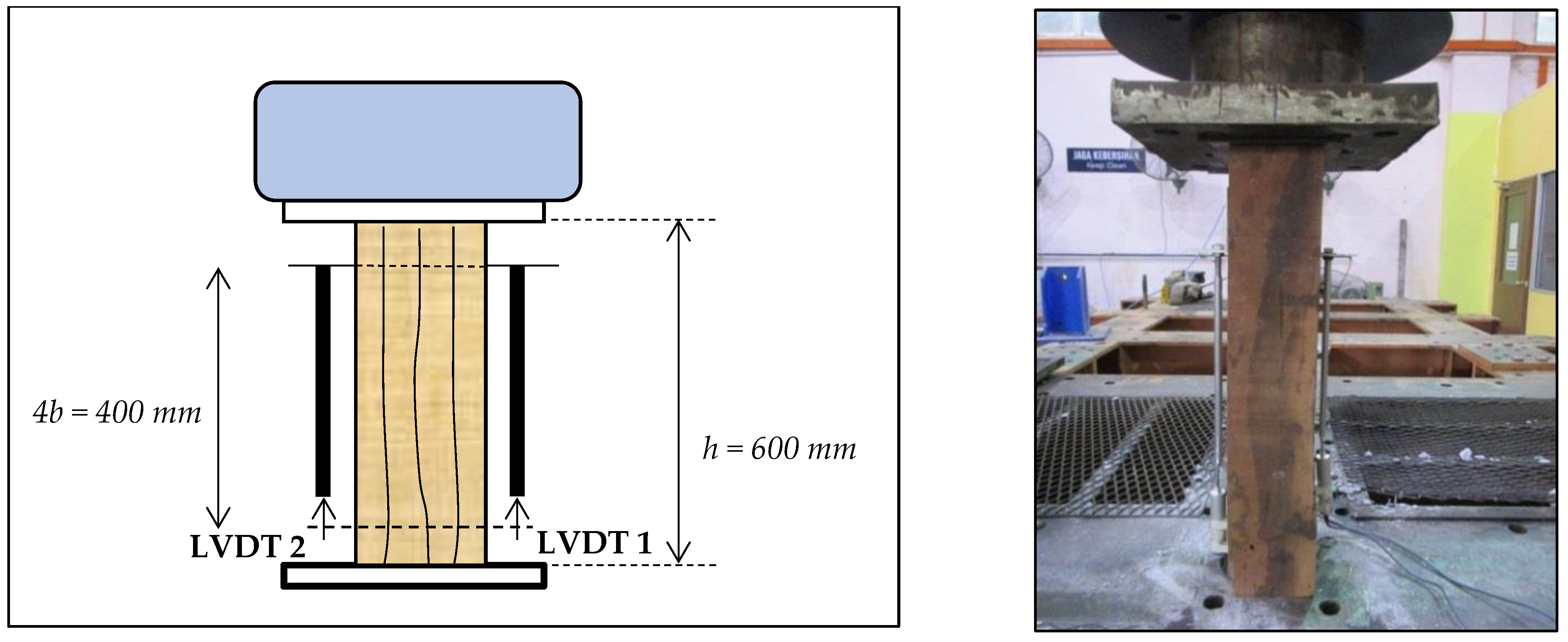 Forests 13 01172 g002 550