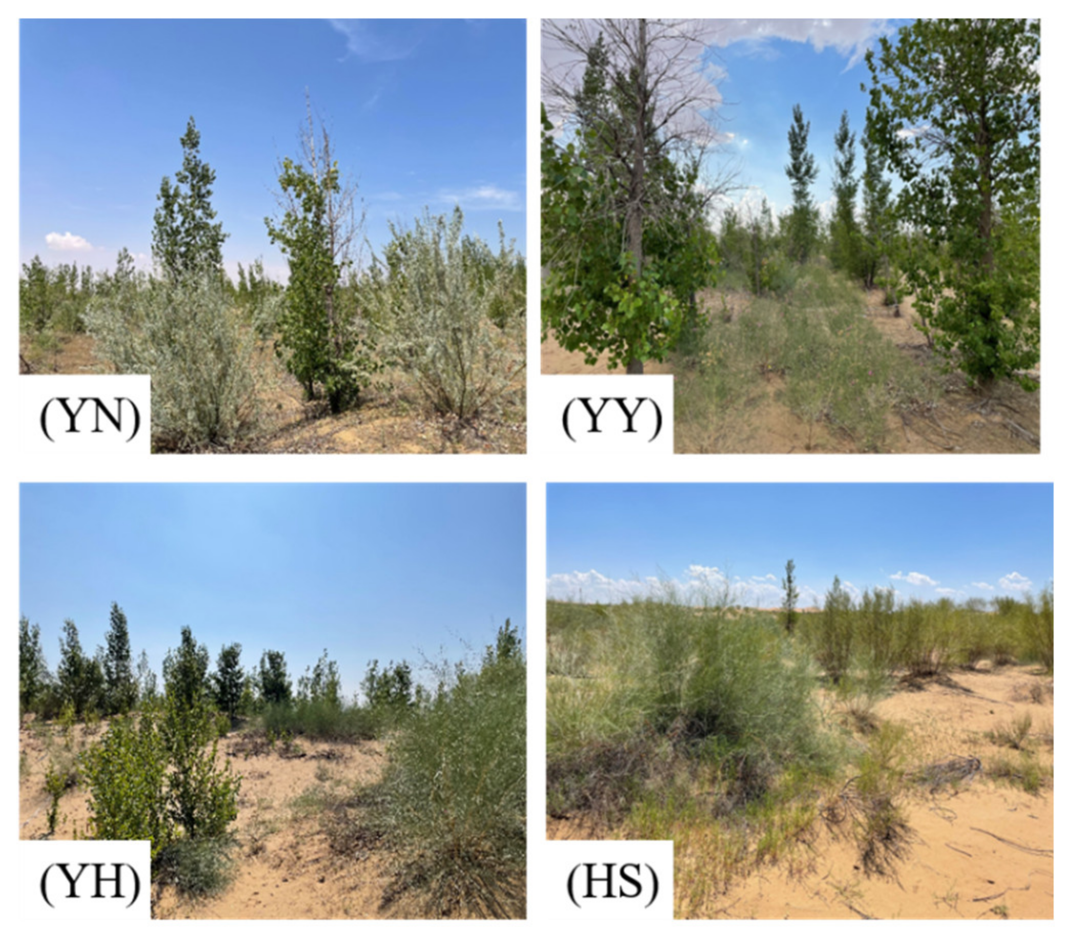 Forests 13 01174 g003 Forests 13 01174 g003