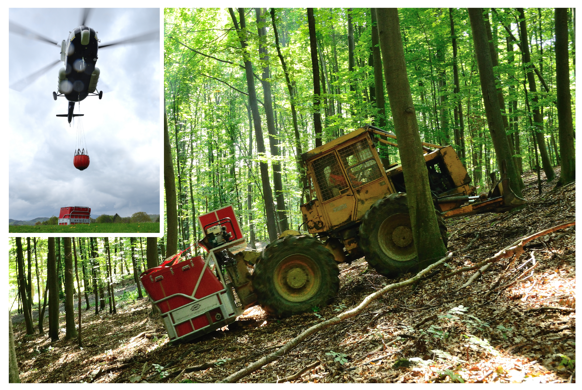 Forests 13 01180 g001 Forests 13 01180 g001