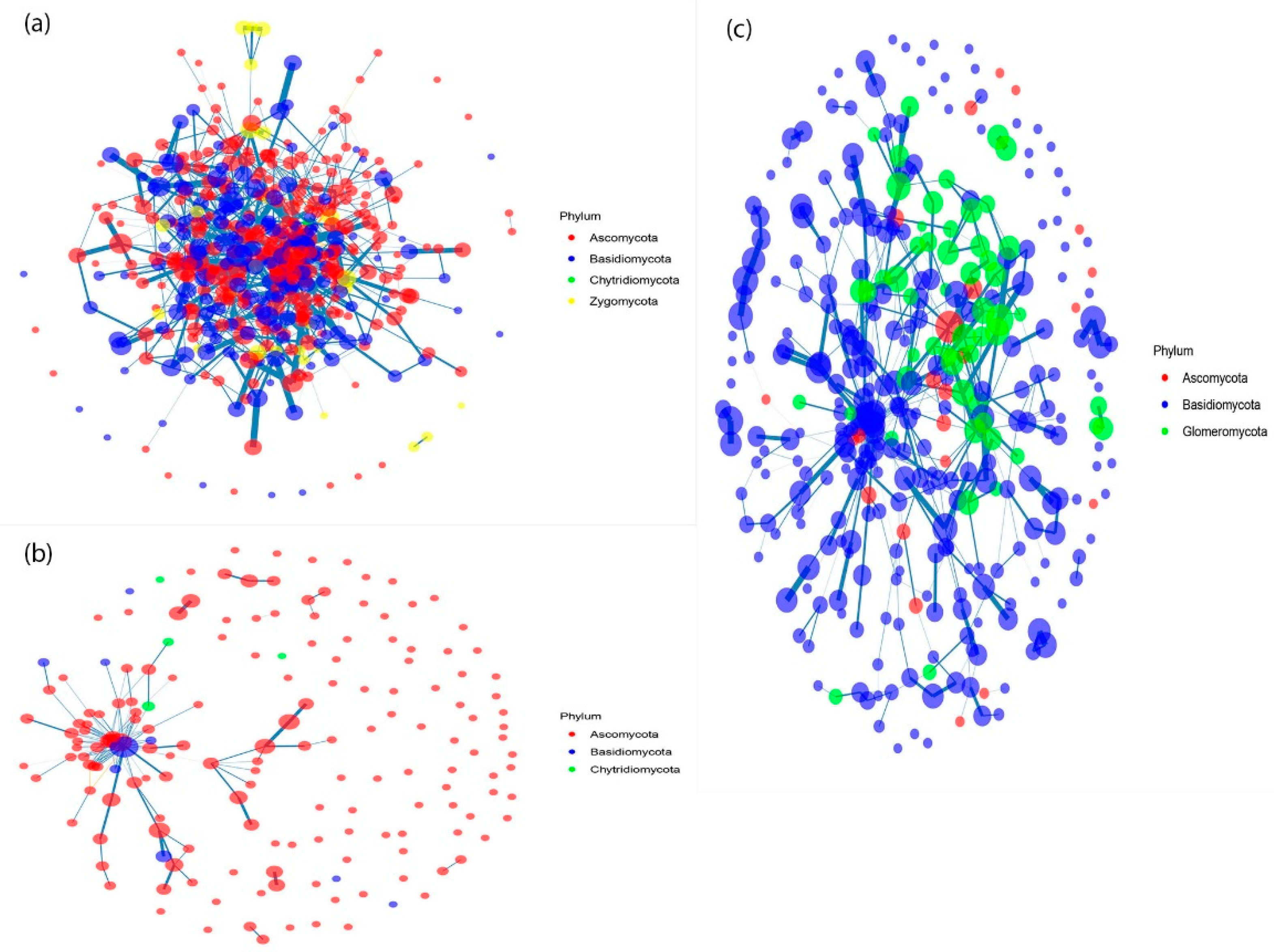 Forests 13 01188 g002 Forests 13 01188 g002