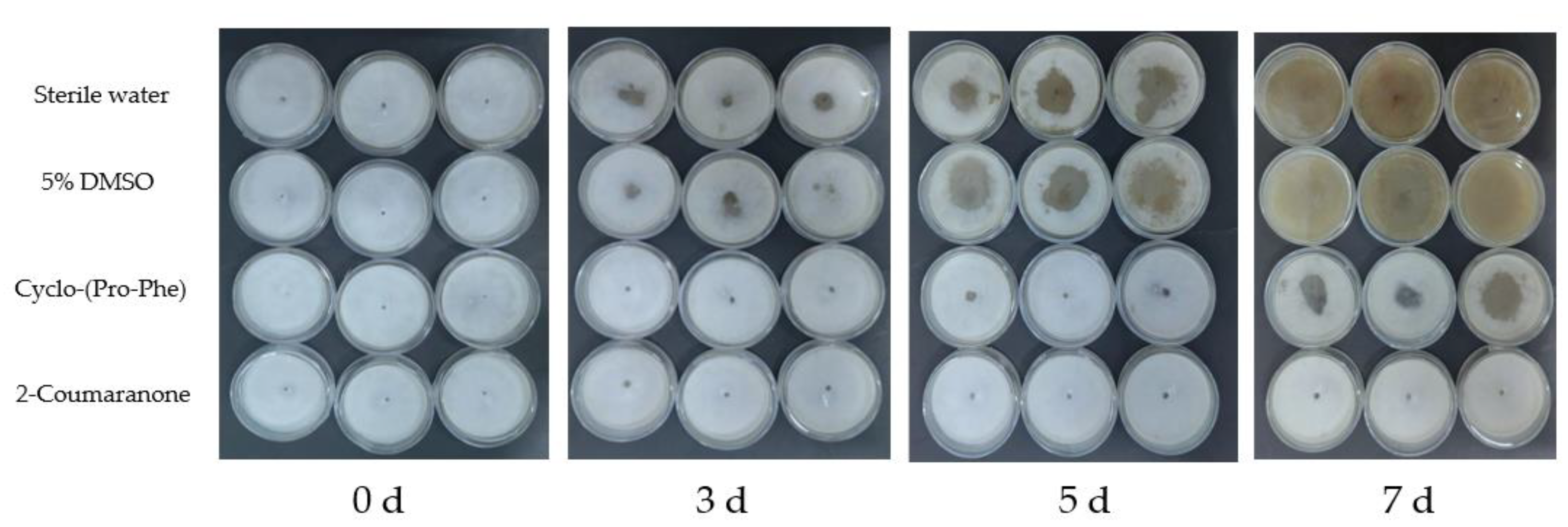 Forests 13 01191 g006