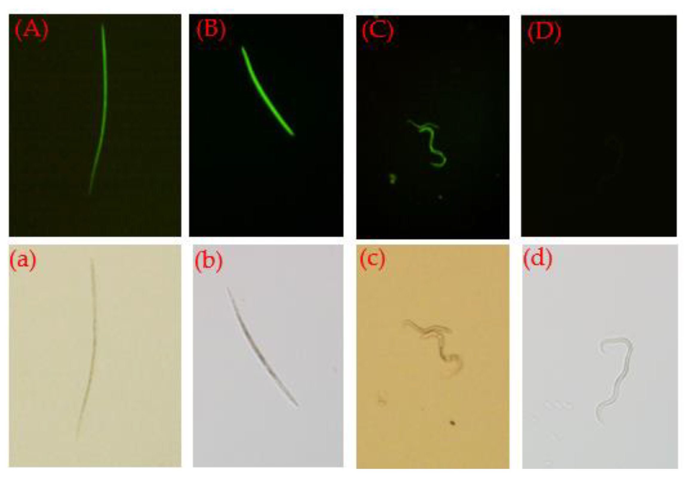Forests 13 01191 g008