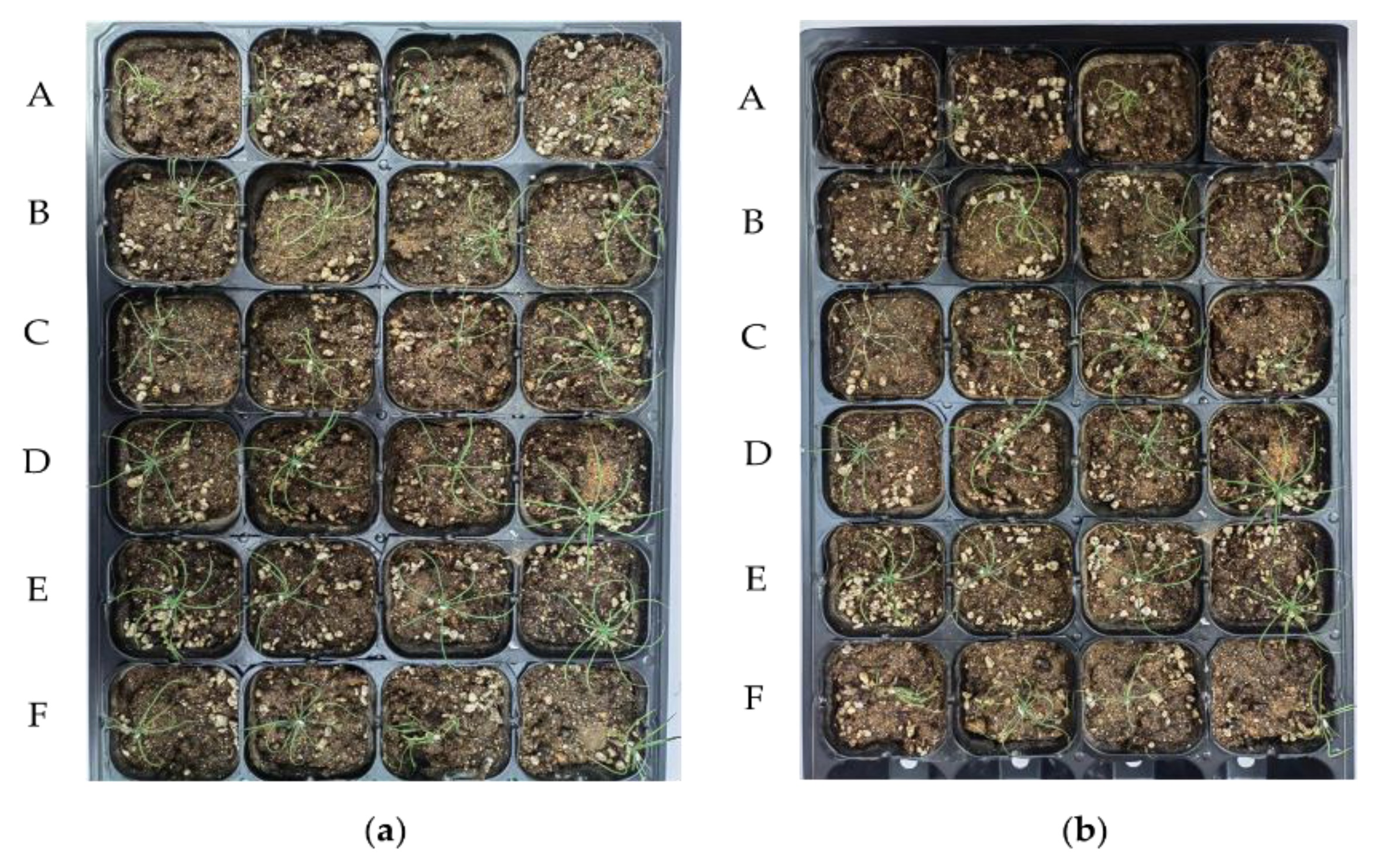 Forests 13 01191 g010