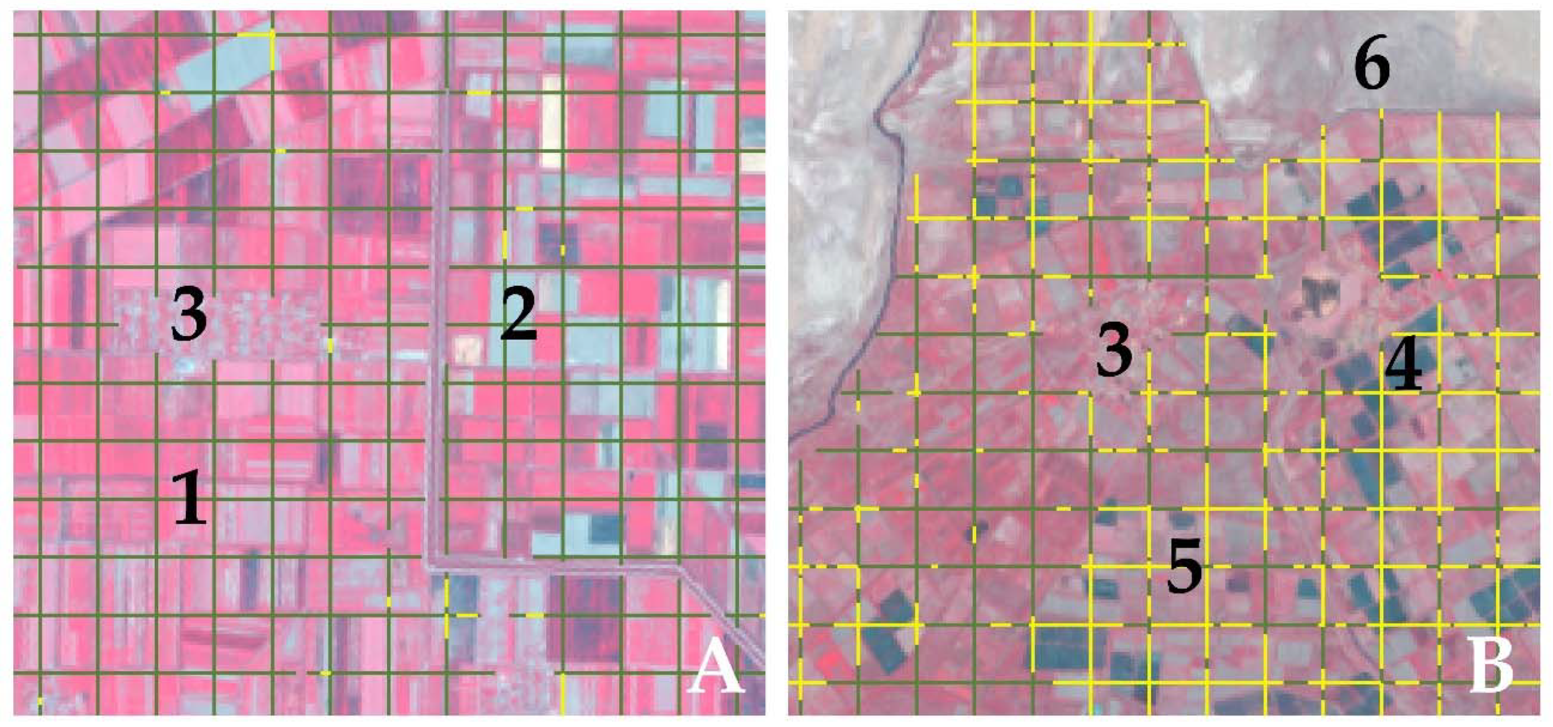 Forests 13 01193 g001 550