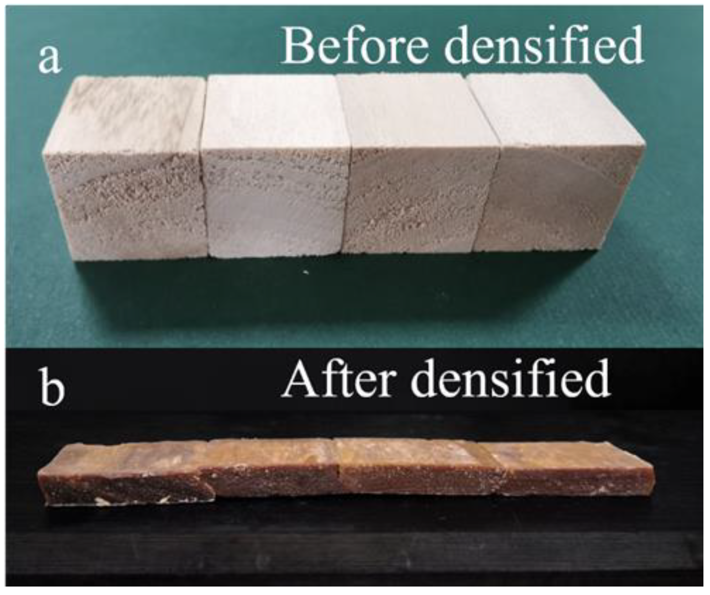 Forests 13 01204 g001