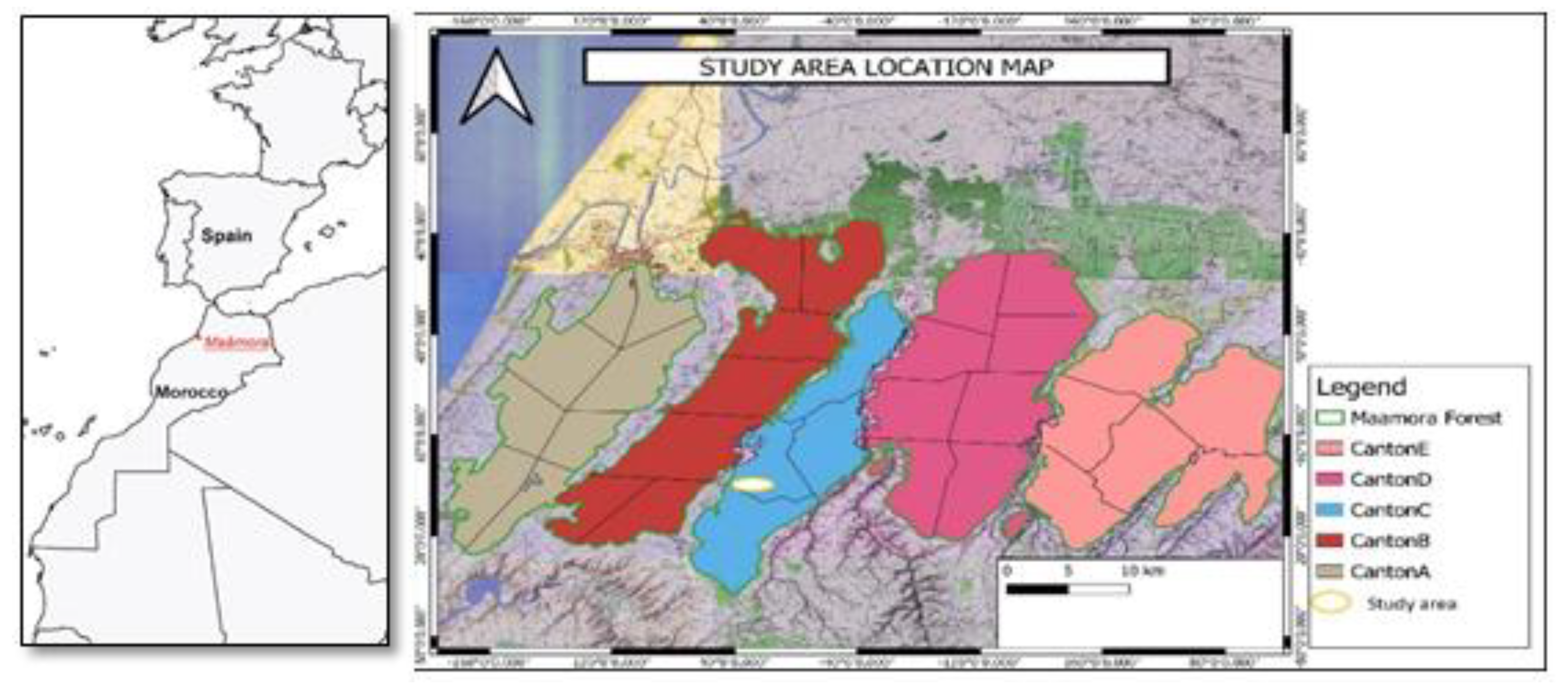 Forests 13 01211 g002