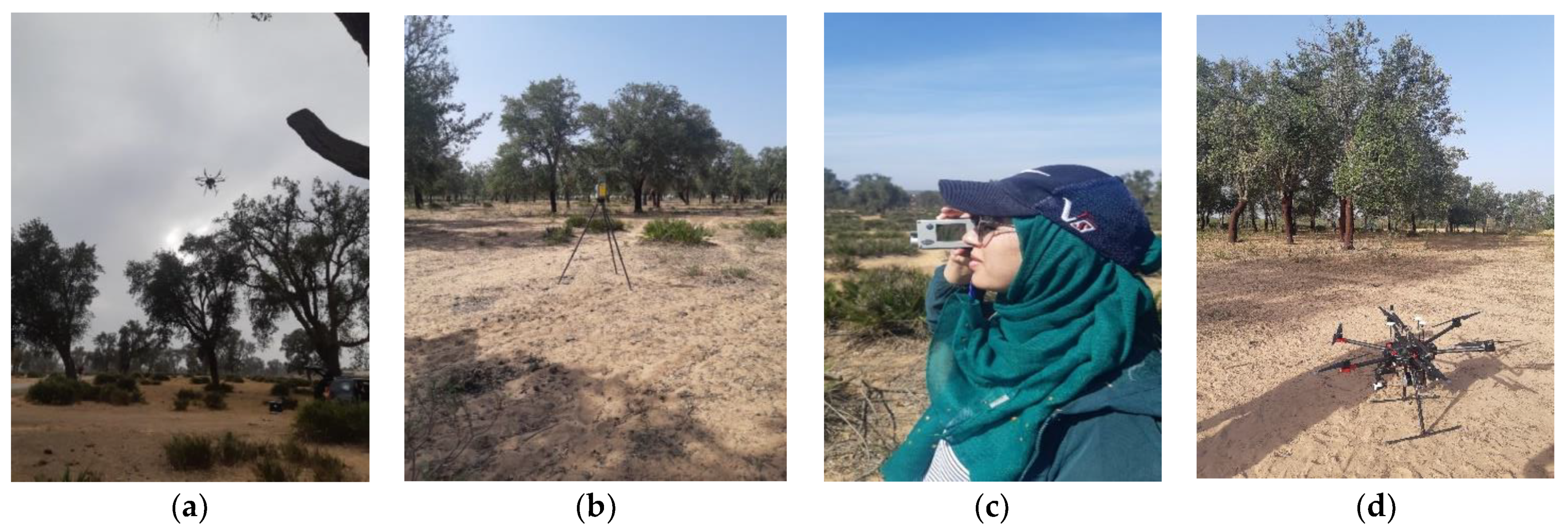 Forests 13 01211 g003