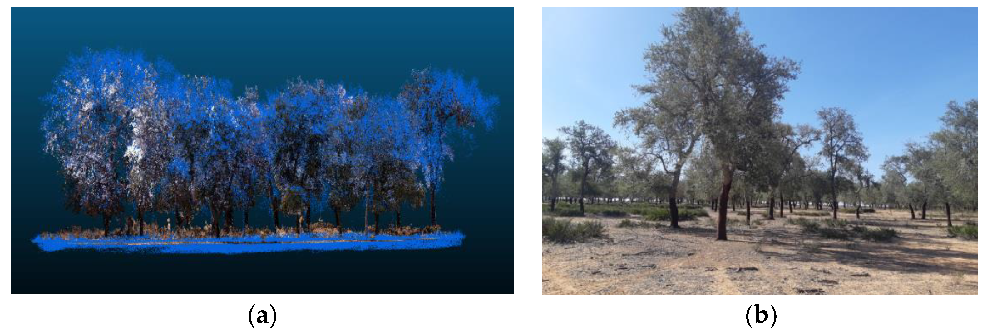 Forests 13 01211 g006