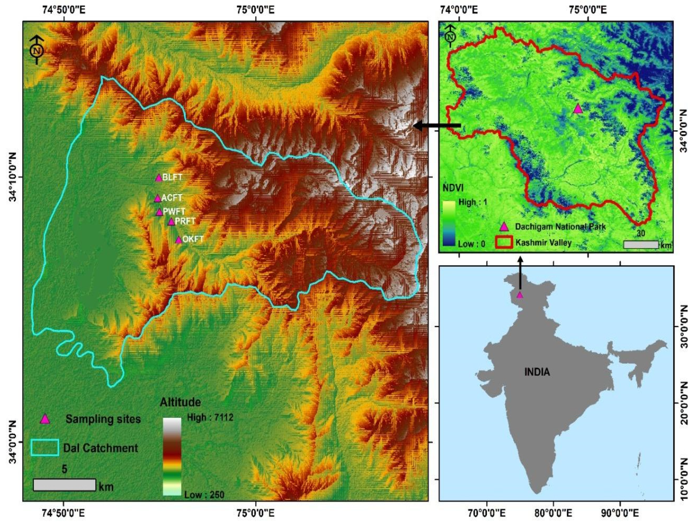 Forests 13 01214 g001