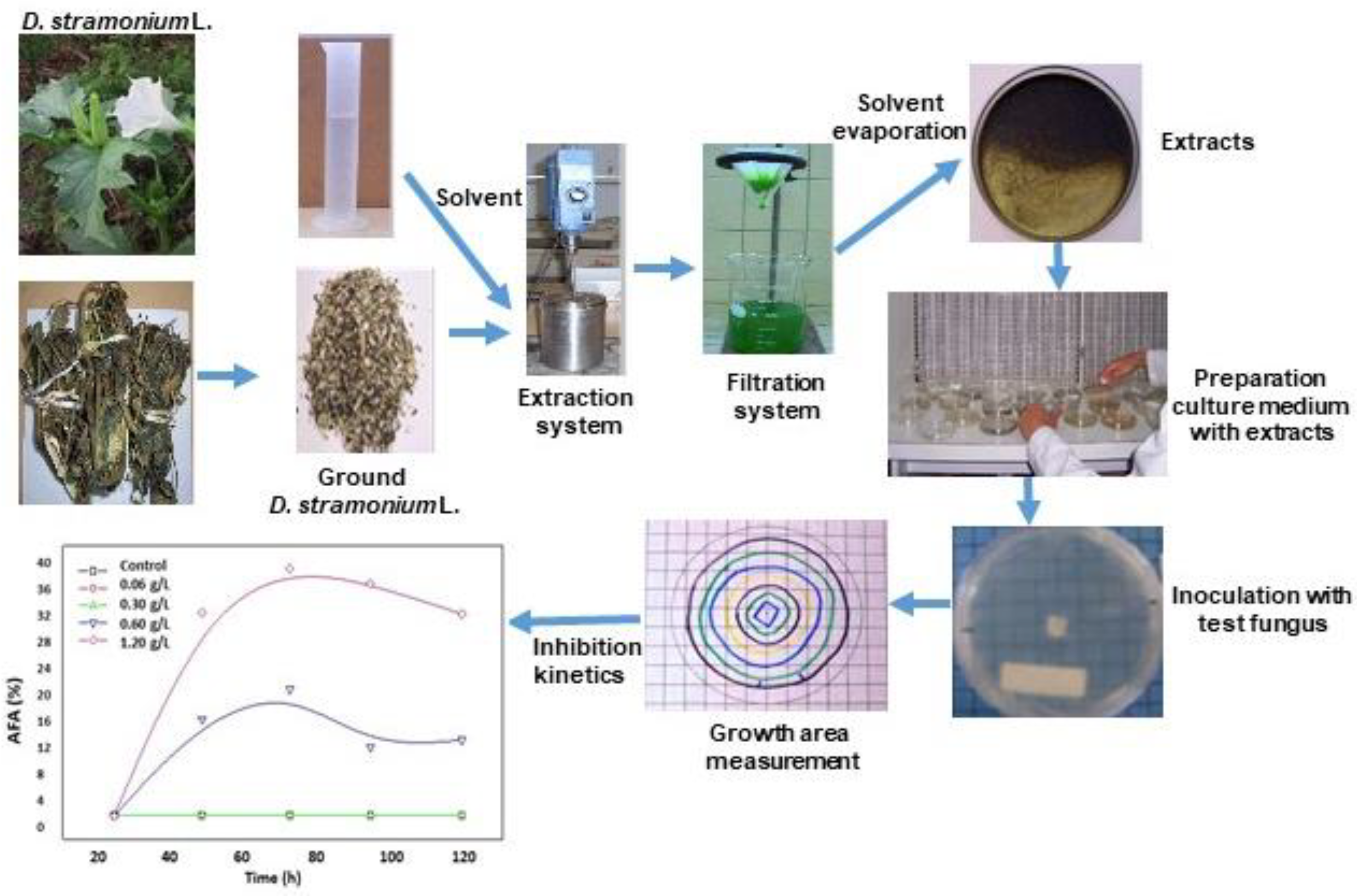 Forests 13 01222 g001 Forests 13 01222 g001