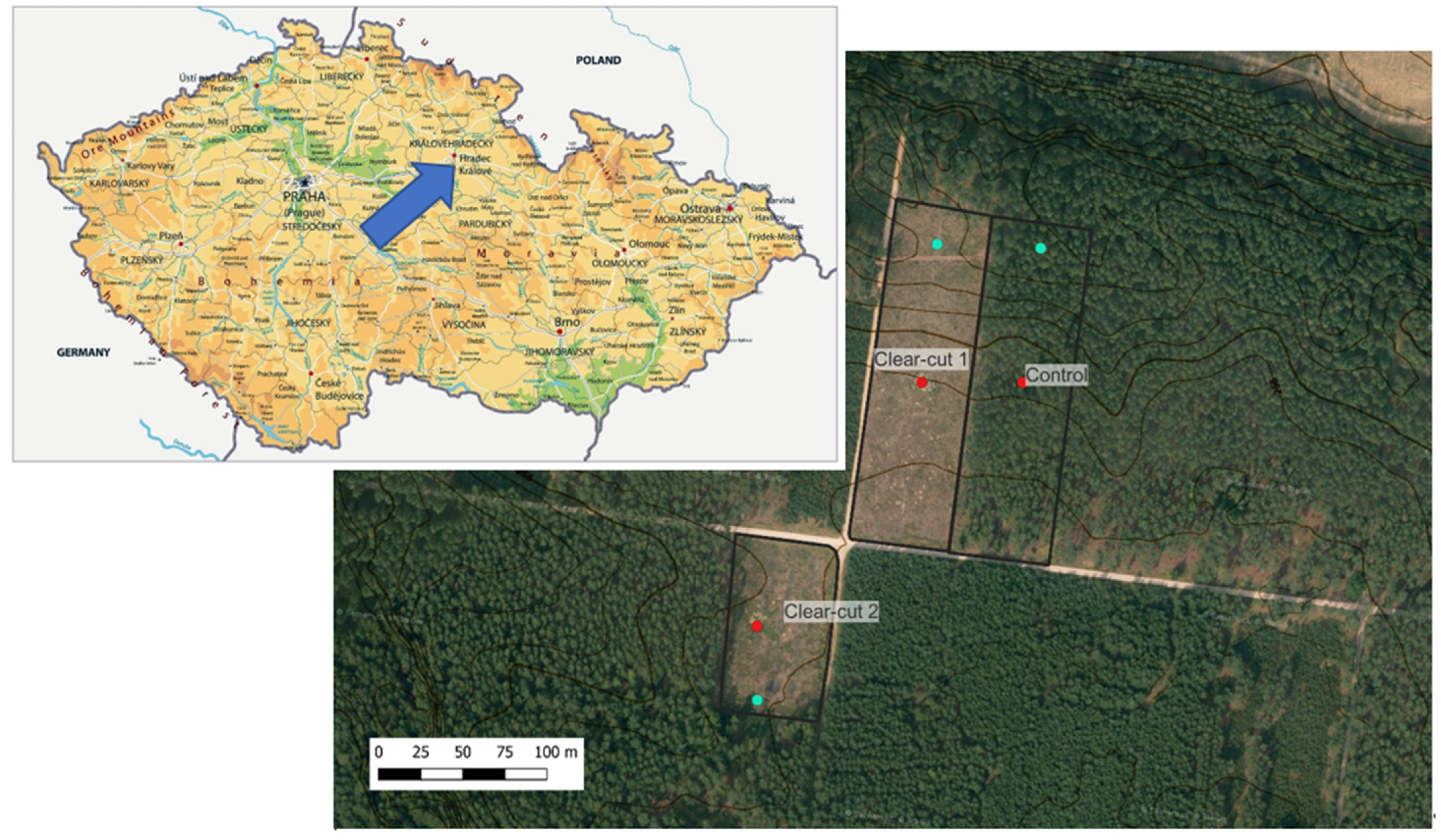 Forests 13 01226 g001 Forests 13 01226 g001