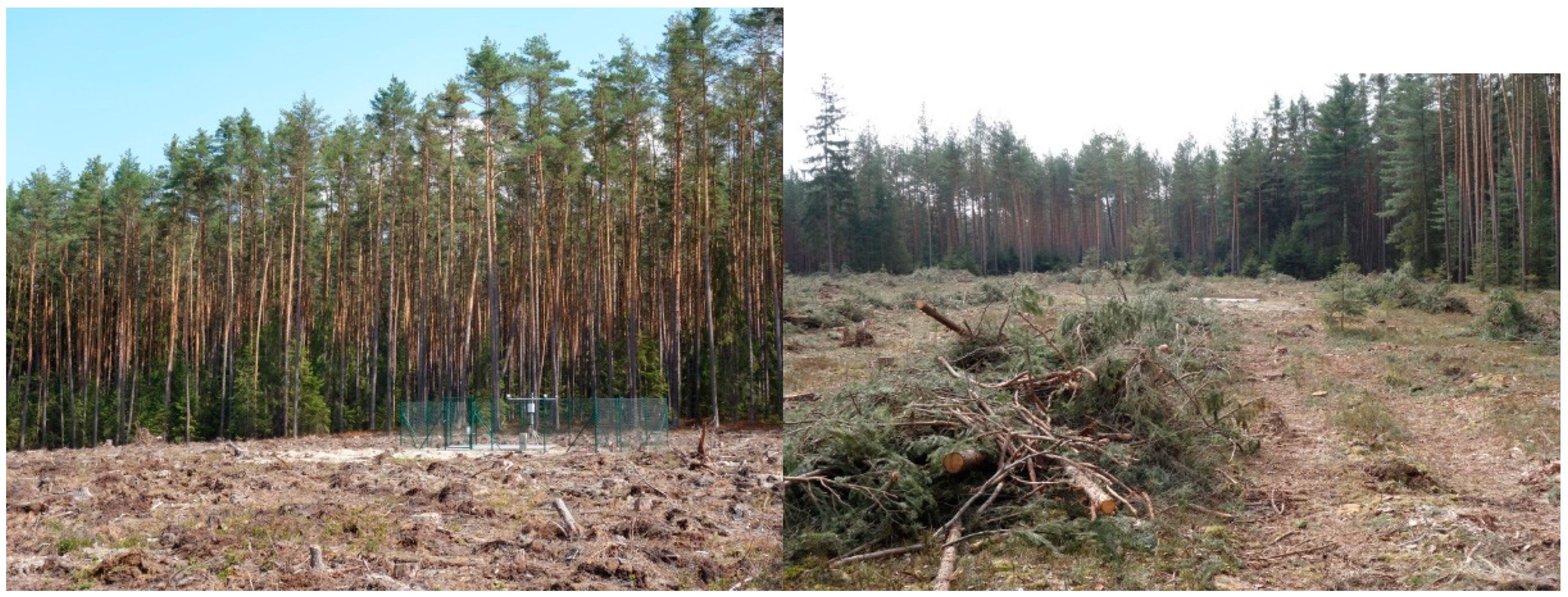 Forests 13 01226 g003 Forests 13 01226 g003